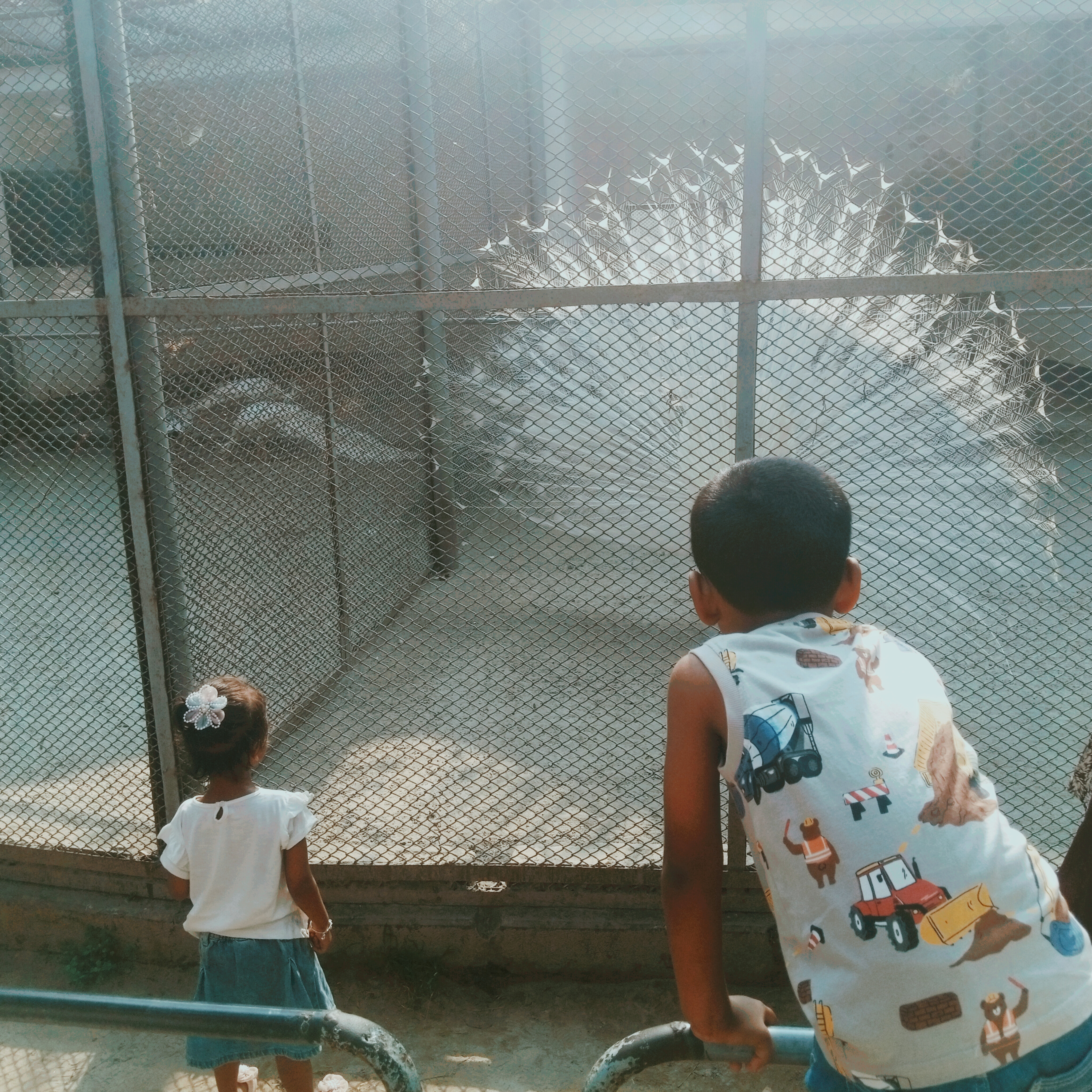 InShot_20260614_213626954.jpg