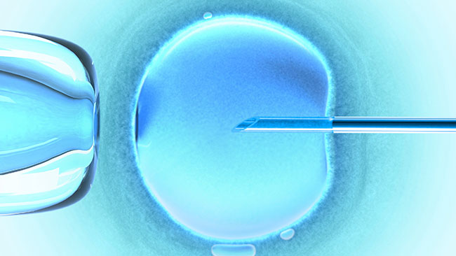 Female-IVF-Treatment.jpg