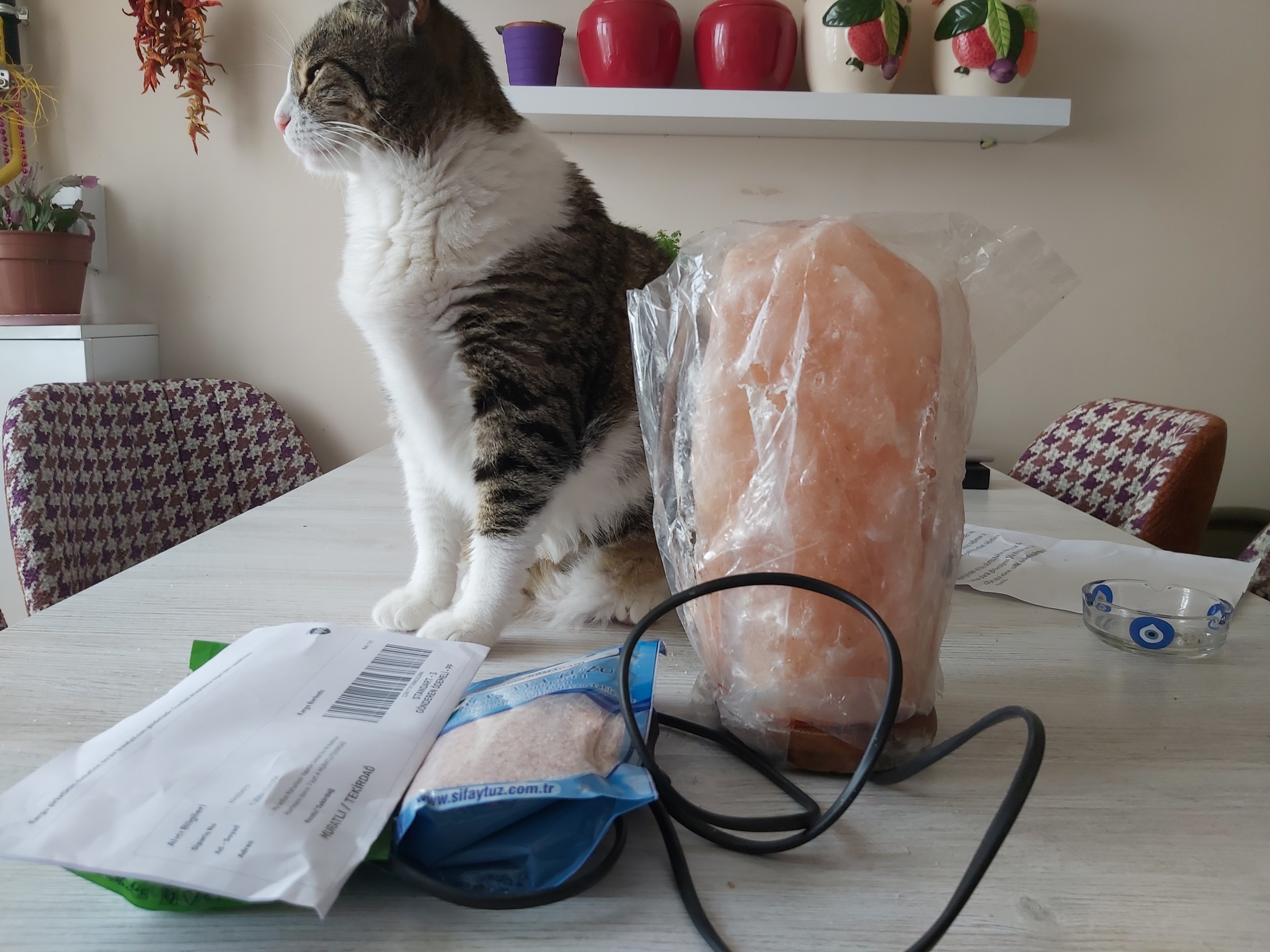 20210708_125637 (1).jpg