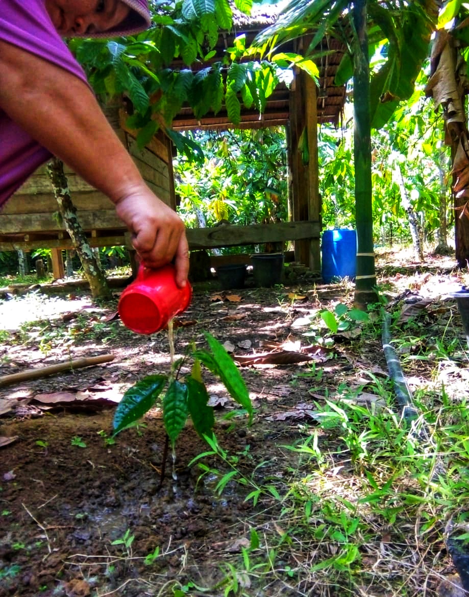 IMG-20210715-WA0014-01.jpeg