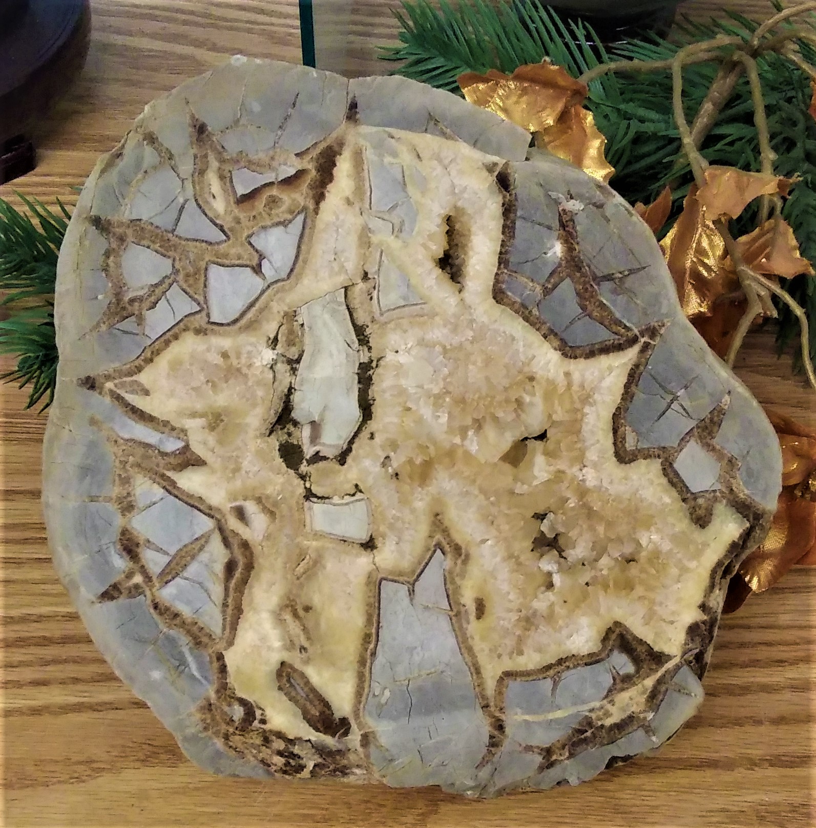 20191111_124516 (2).jpg