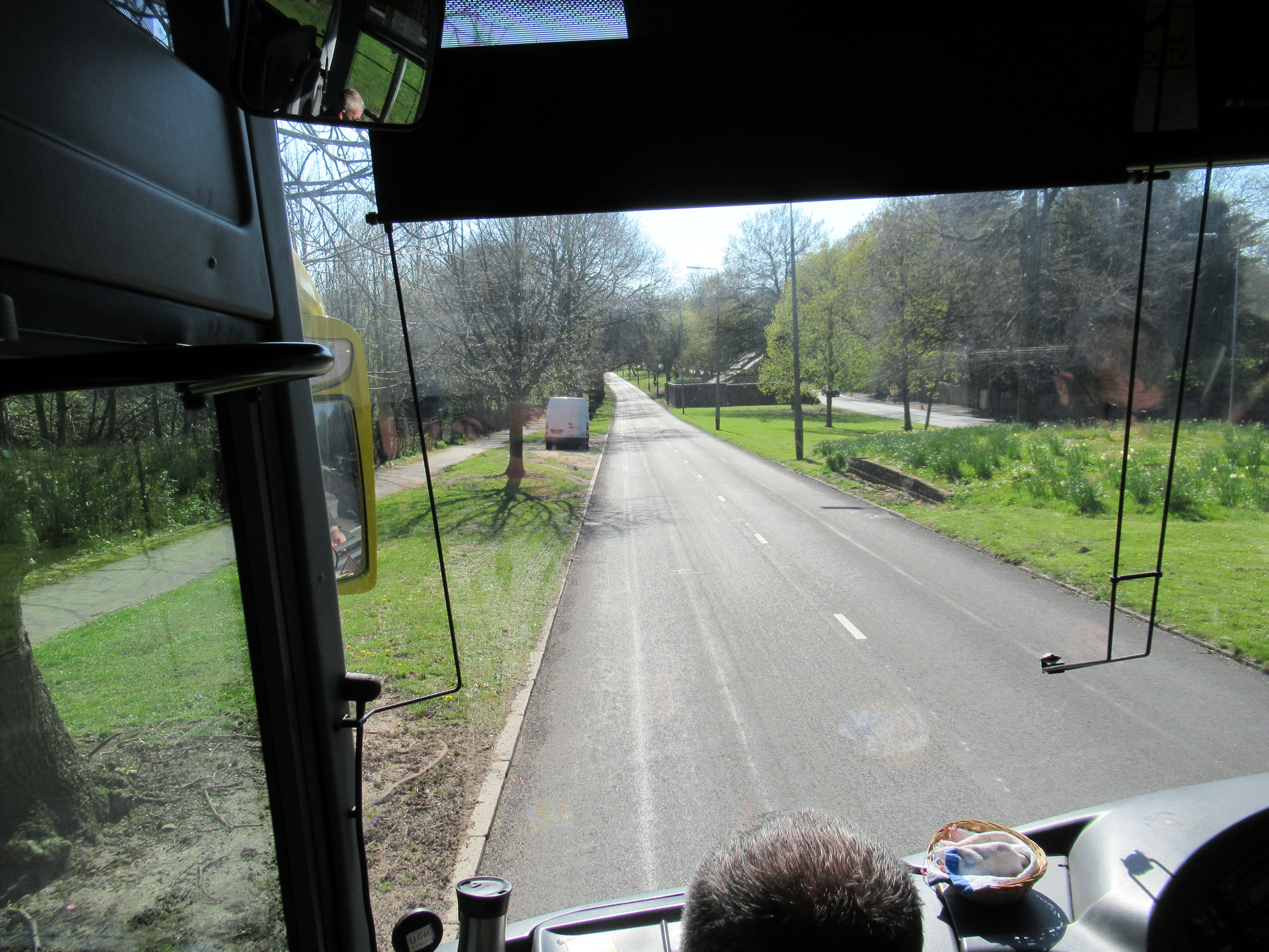 IMG_8341.JPG