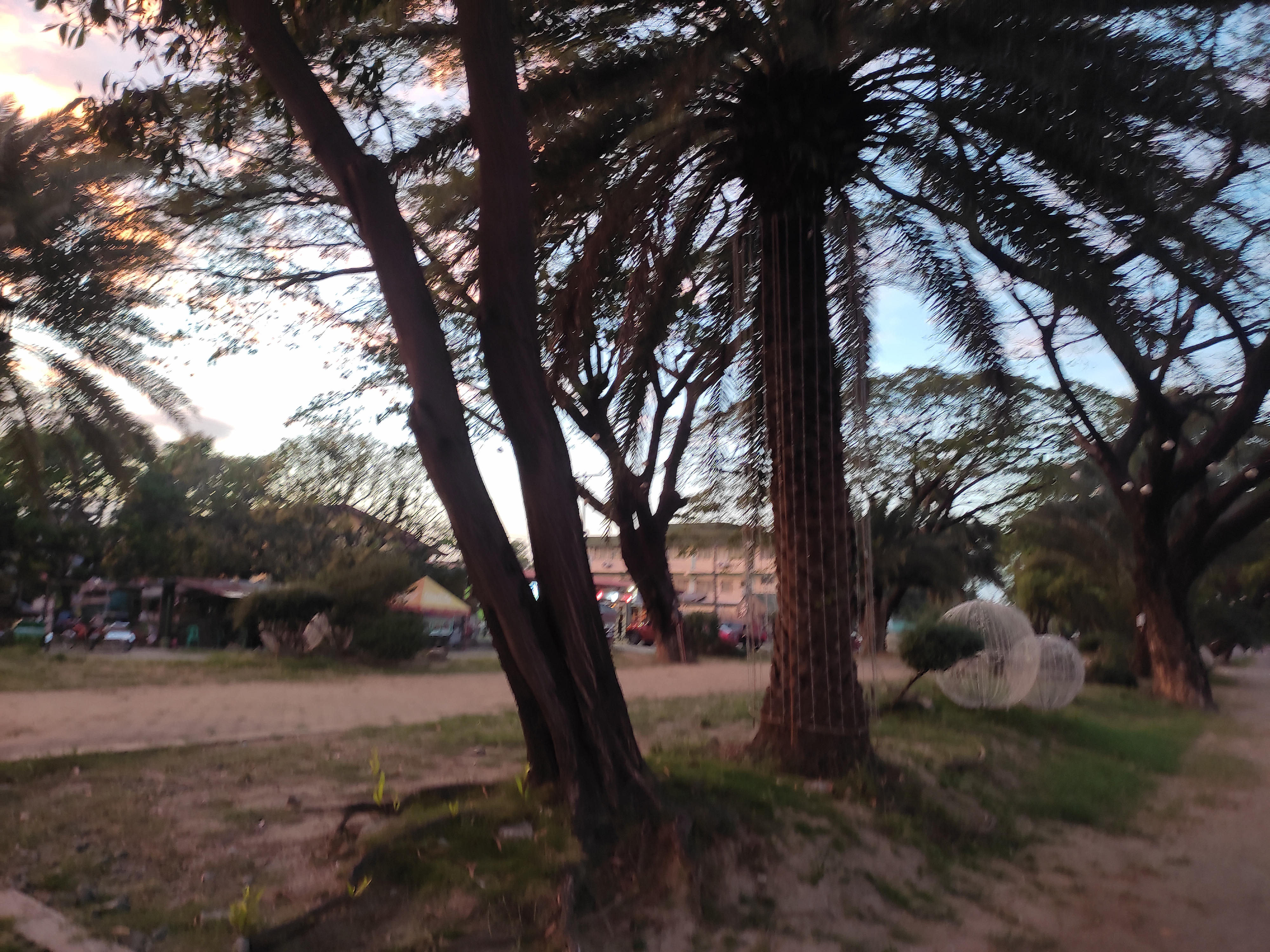 IMG_20251215_173539.jpg