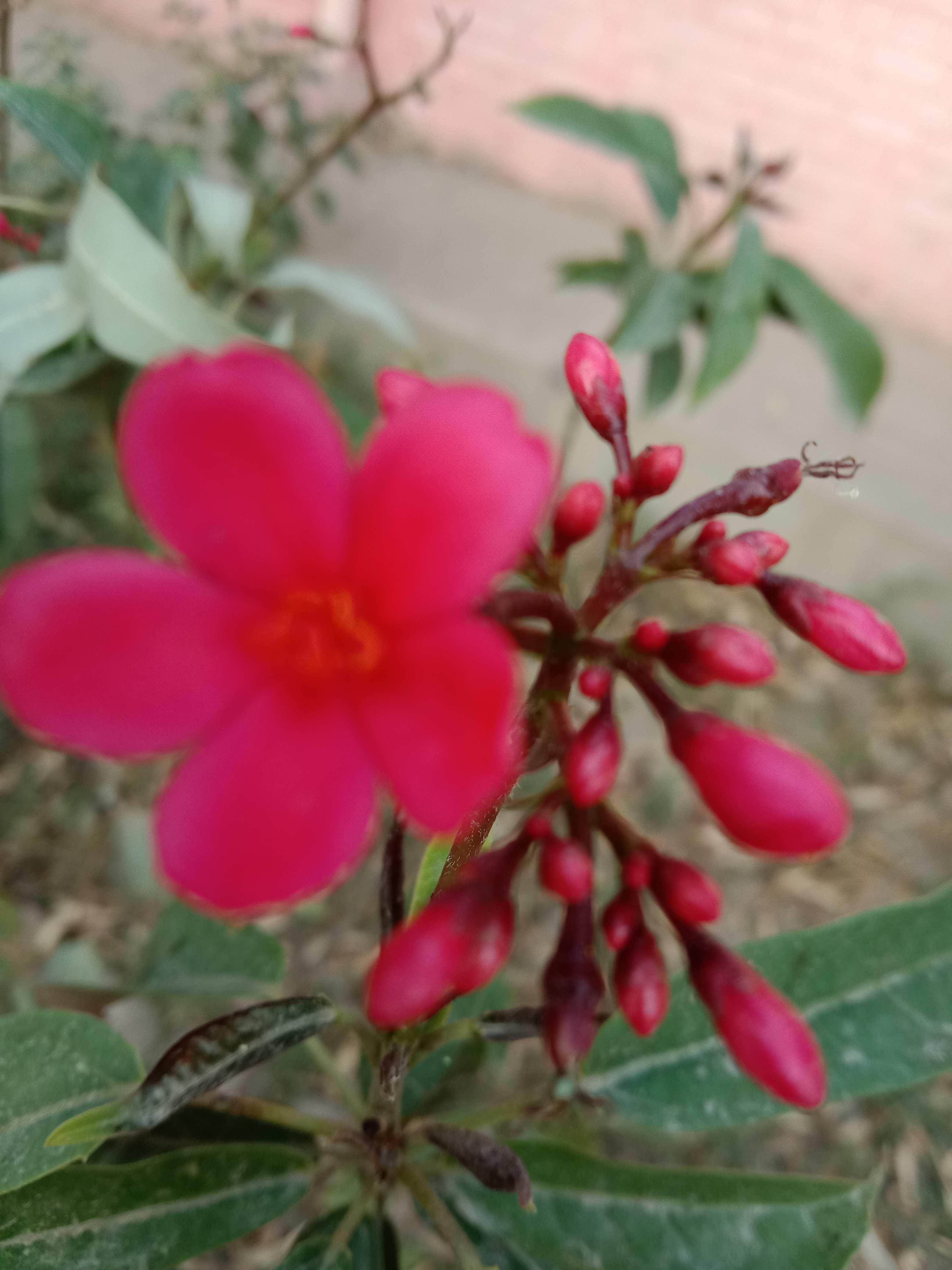 IMG_20210421_175046.jpg