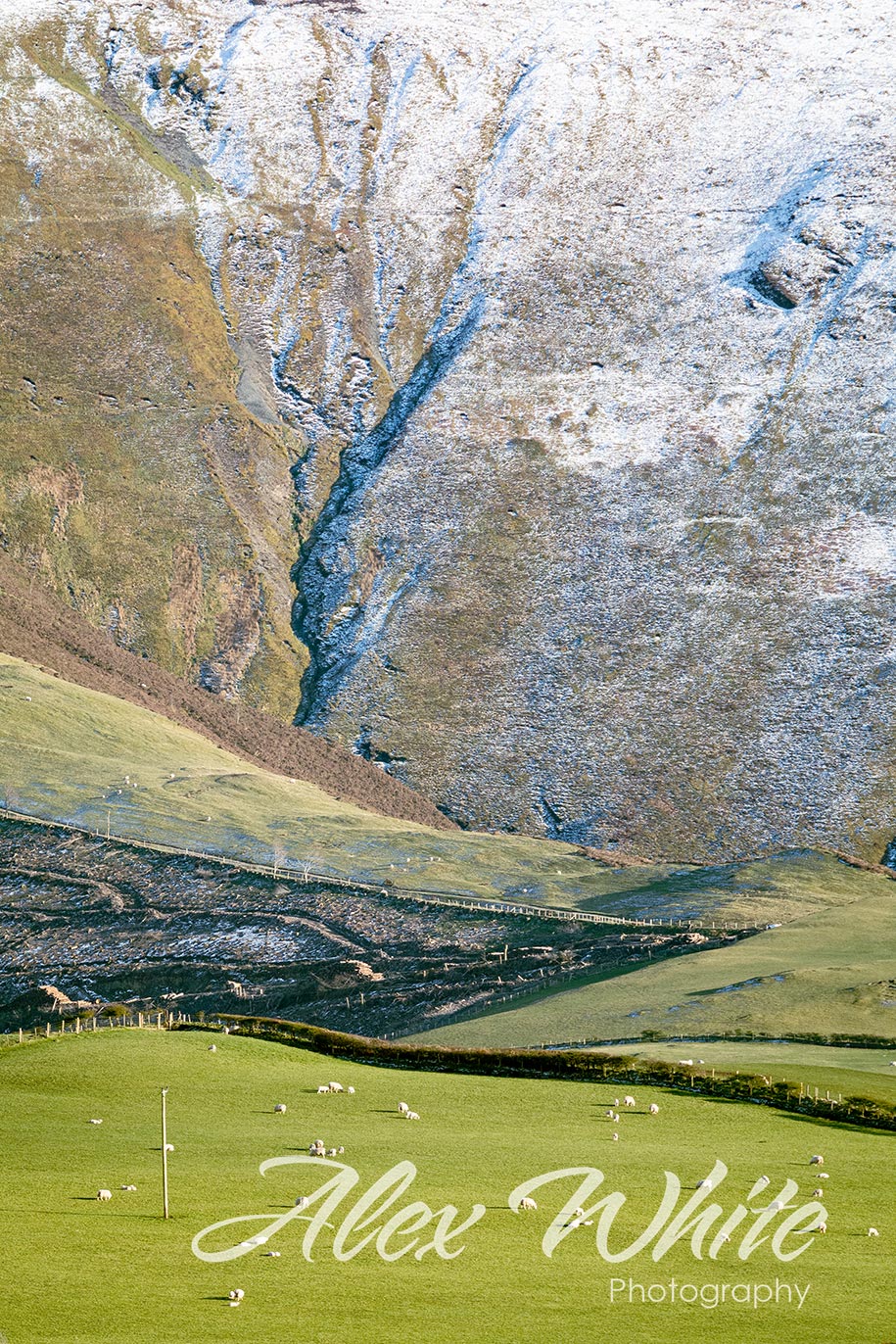 Mountain Vein (1 of 1).jpg