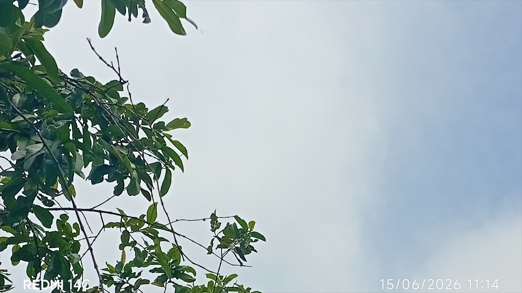 1000502410.jpg