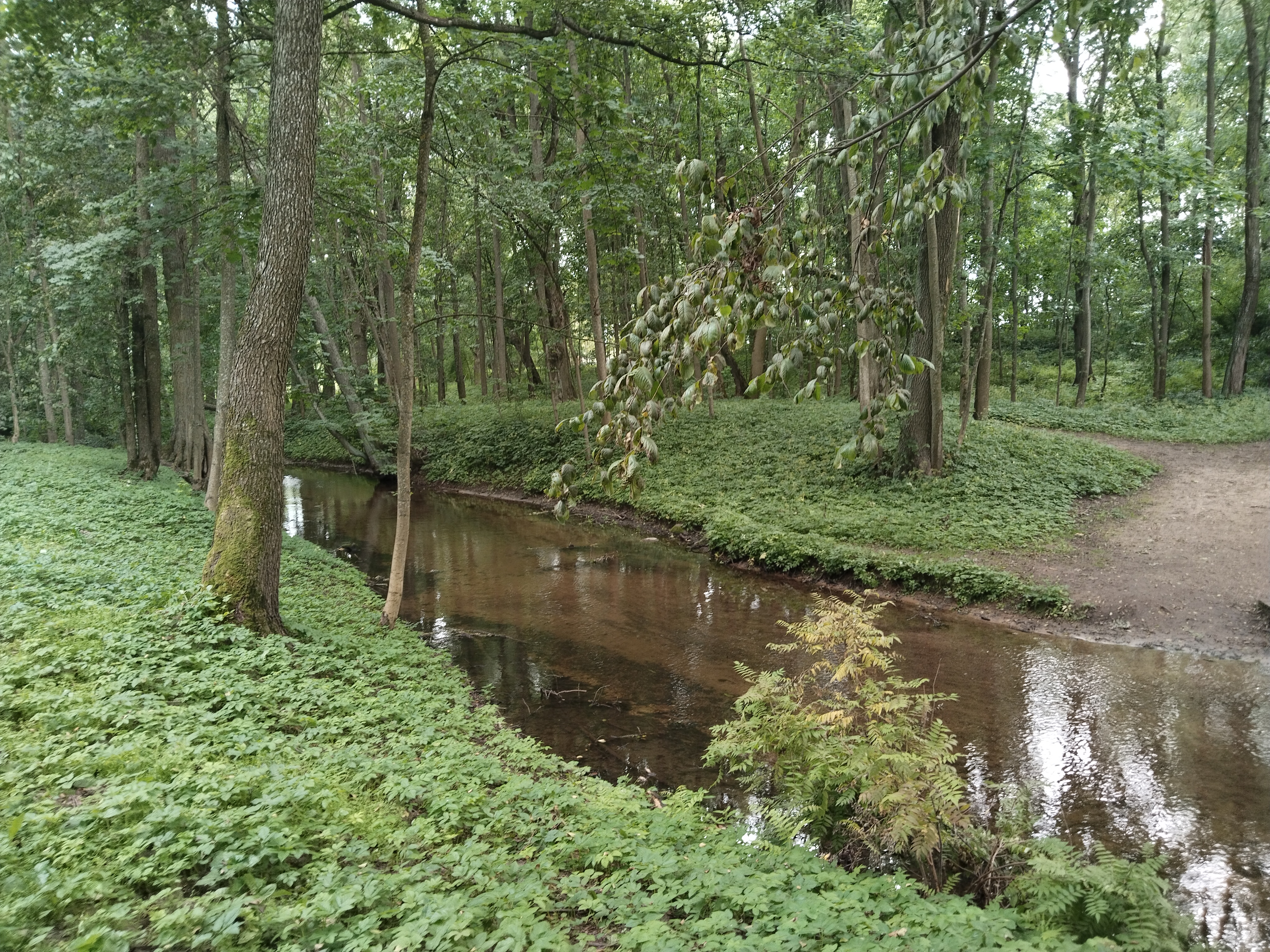 IMG_20250706_172216.jpg