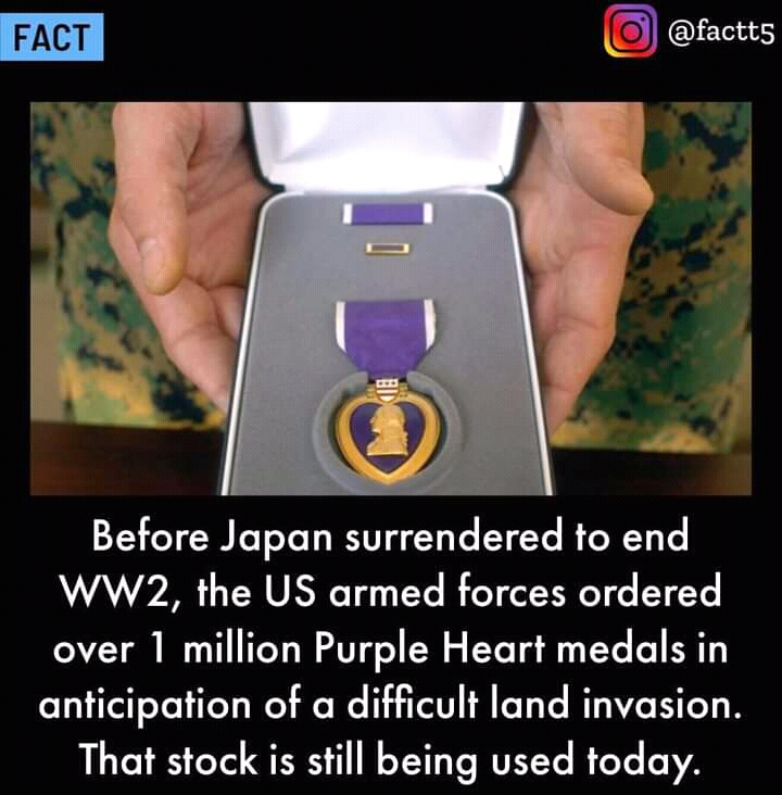 FB_IMG_16520509822764332.jpg