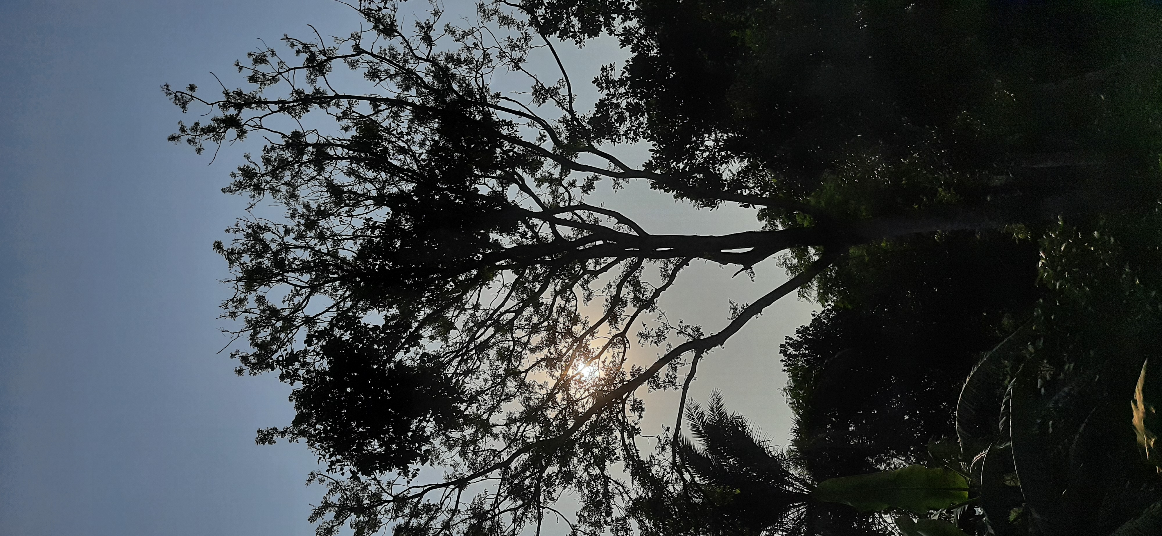 20210605_164728.jpg