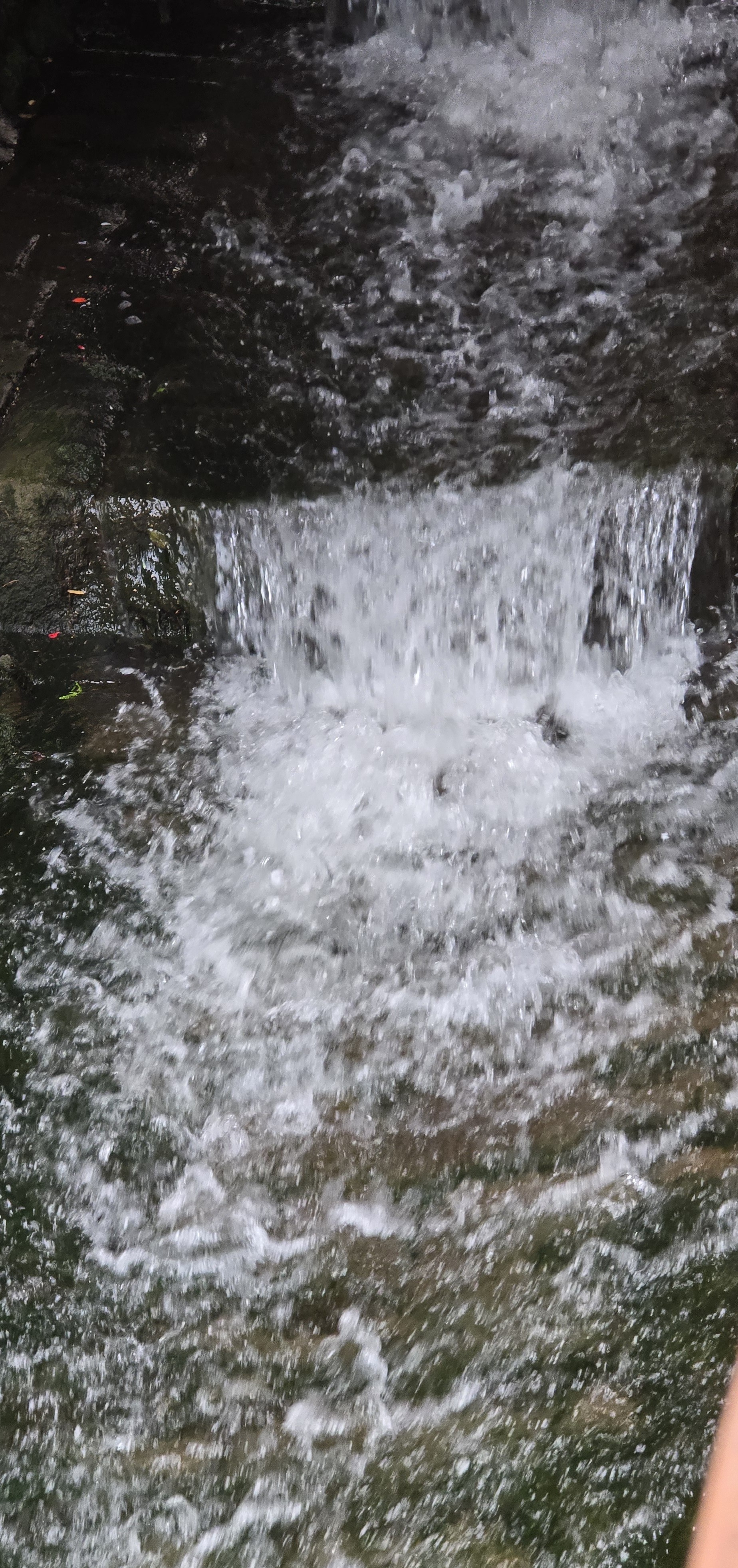 20250723_162204.jpg