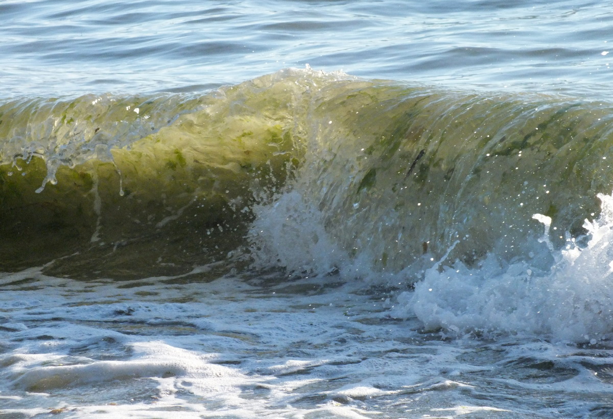 0272-Beach04.jpg