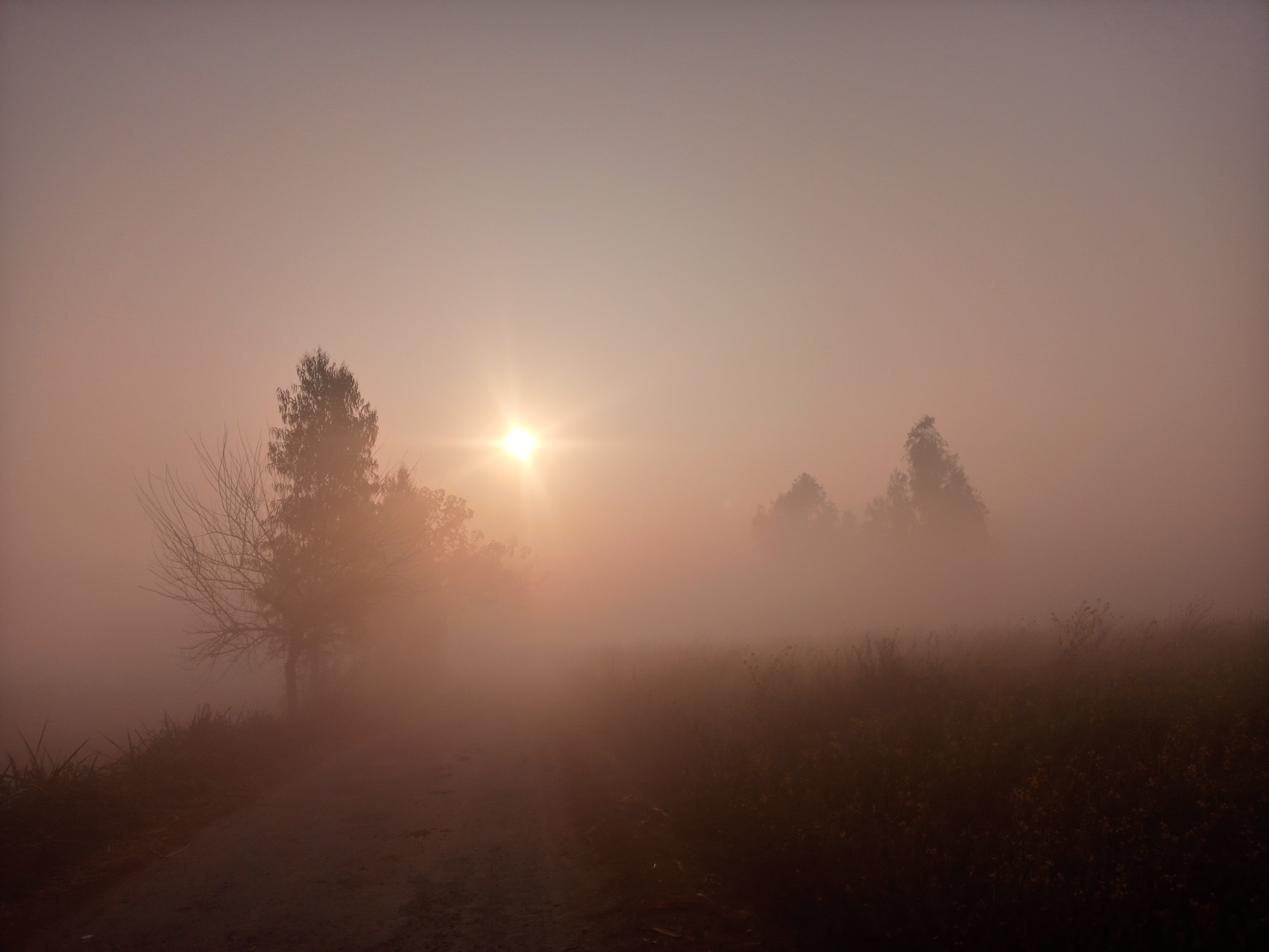 20210131_081053_HDR.jpg