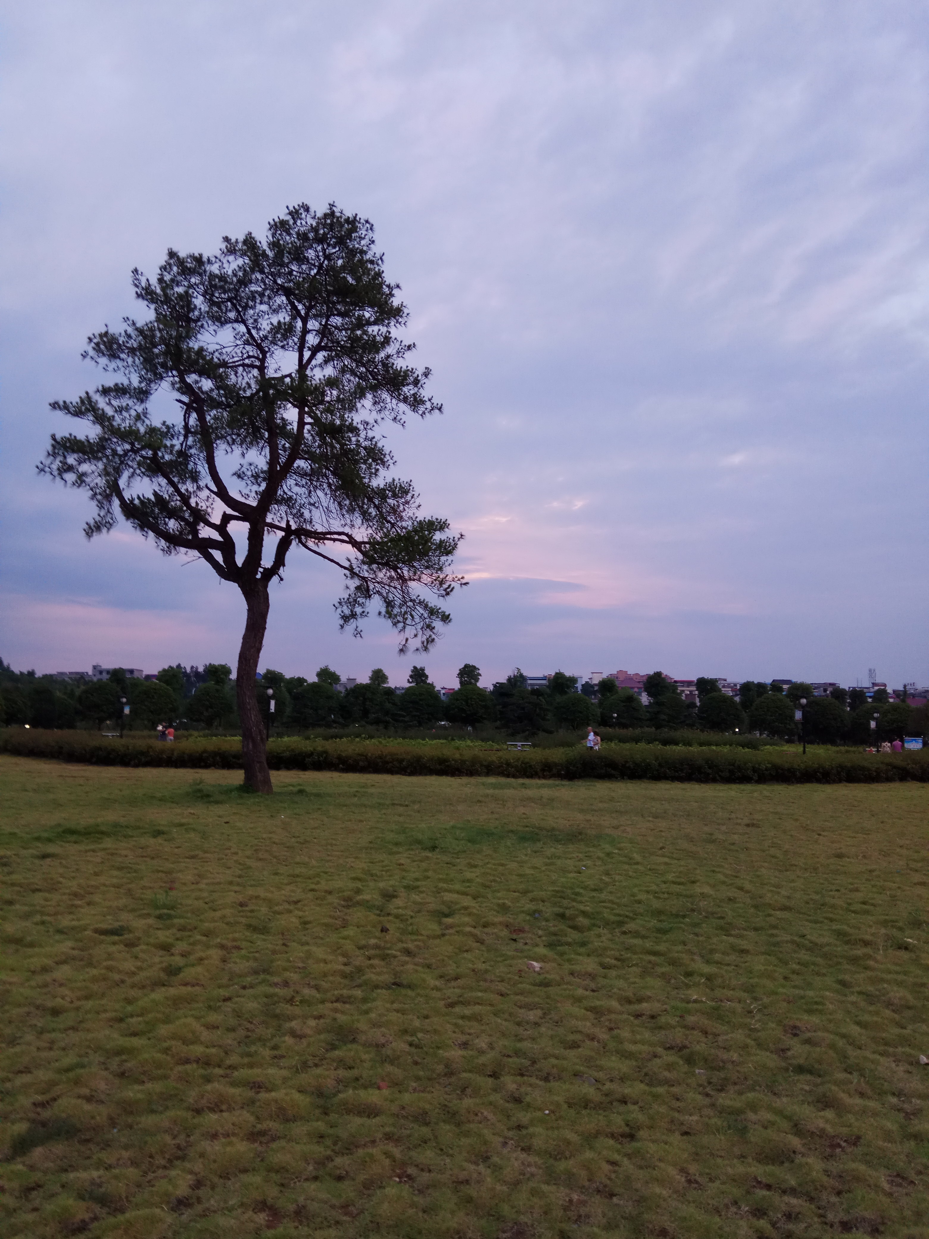 IMG_20180701_192516.jpg