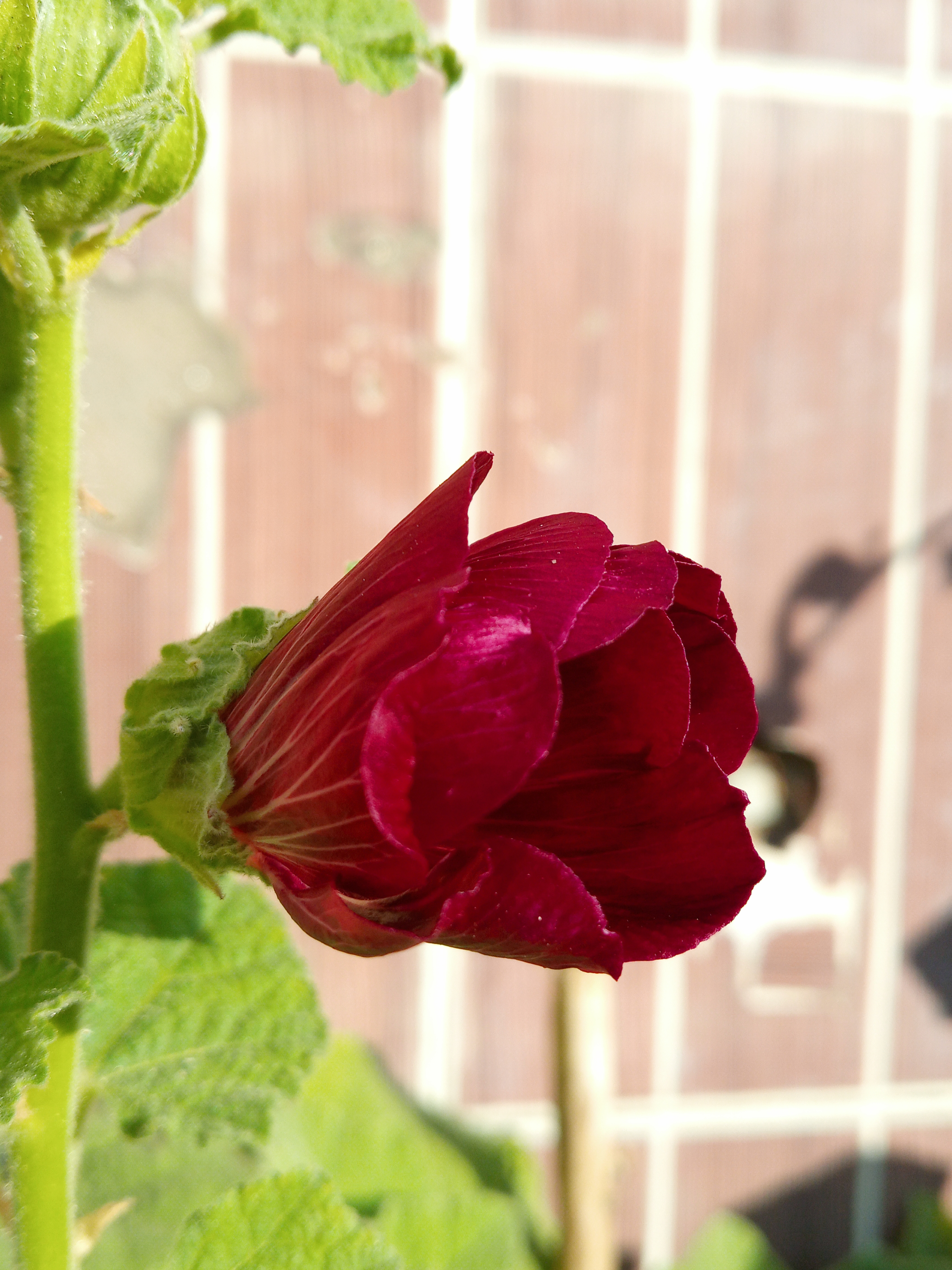 20220715_070213_HDR.jpg