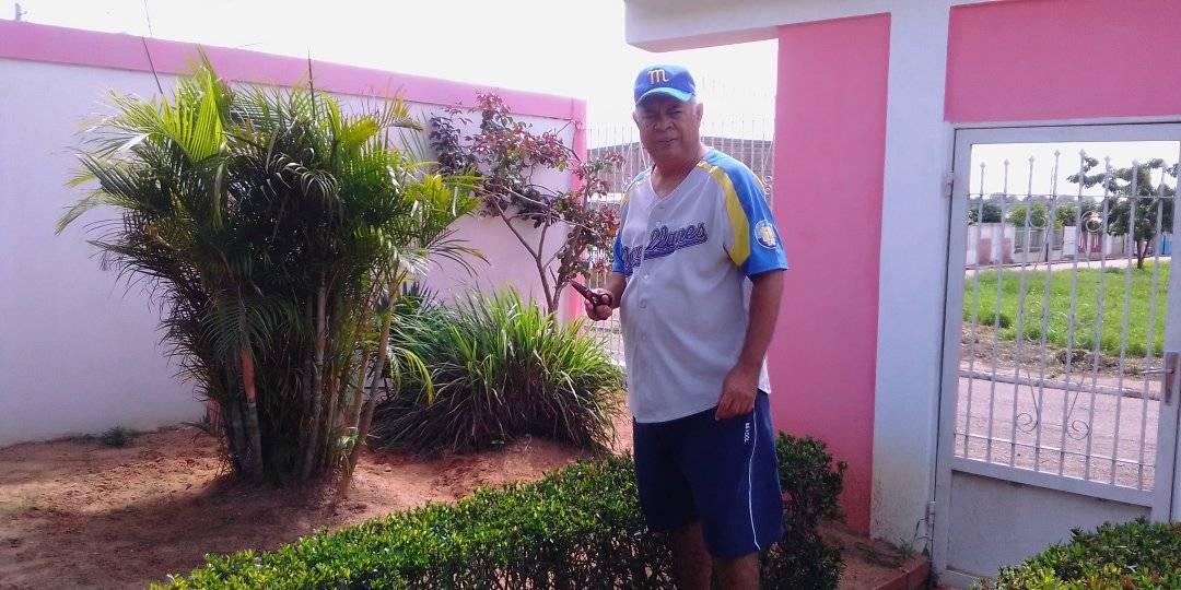 Listo para cortar la hierba malojillo.jpg