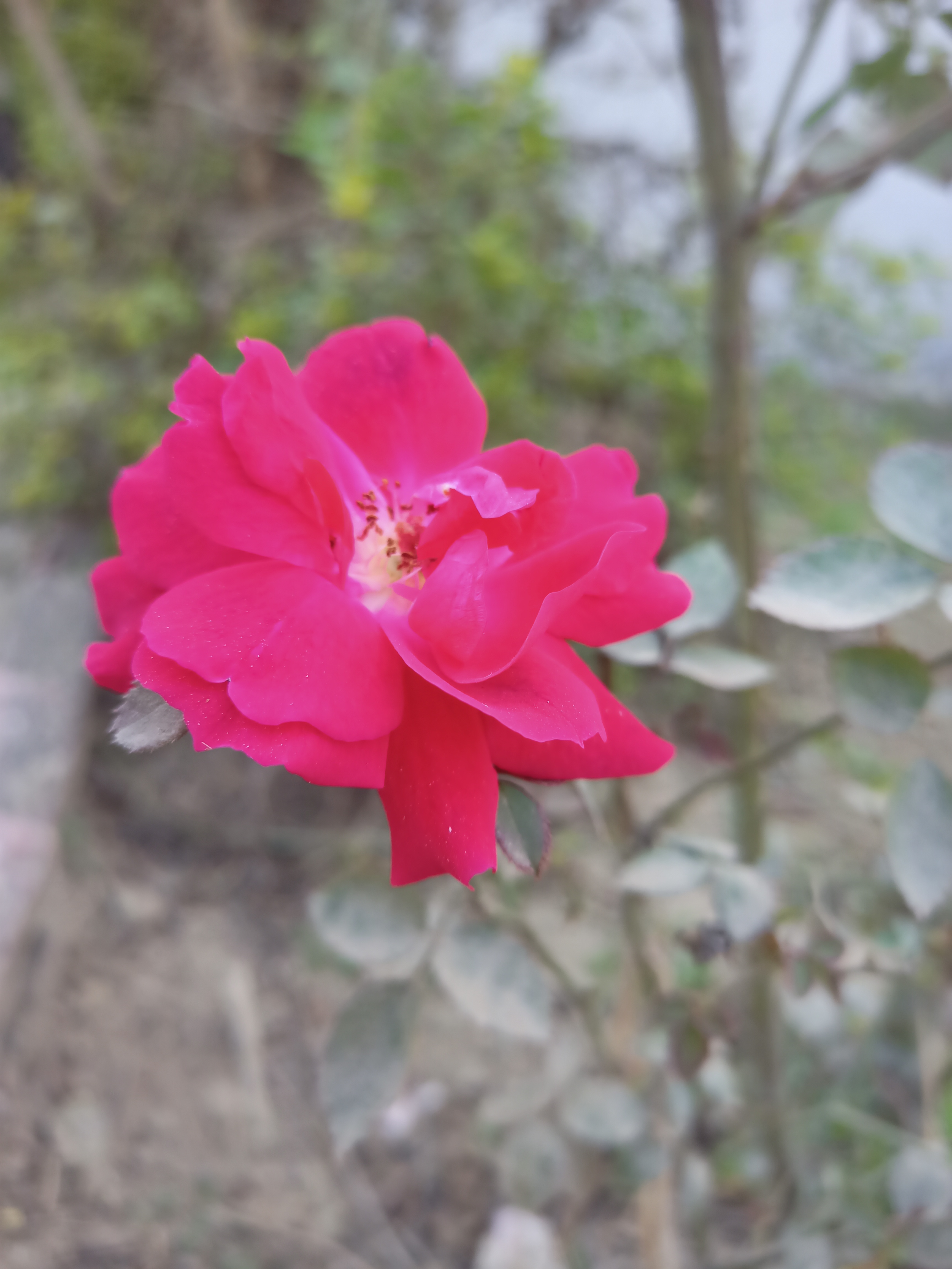 IMG20211230165944.jpg