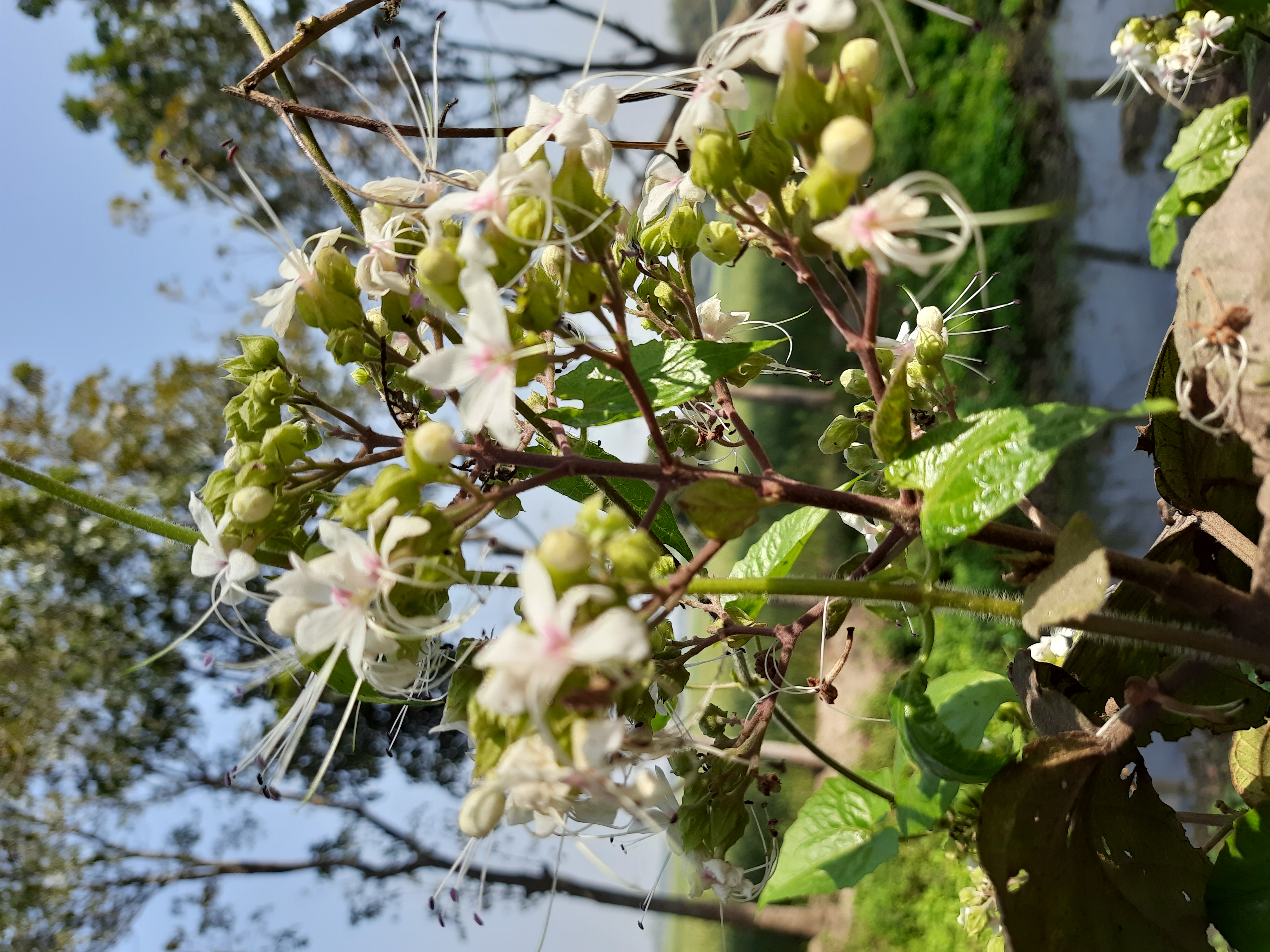 20230228_103706.jpg