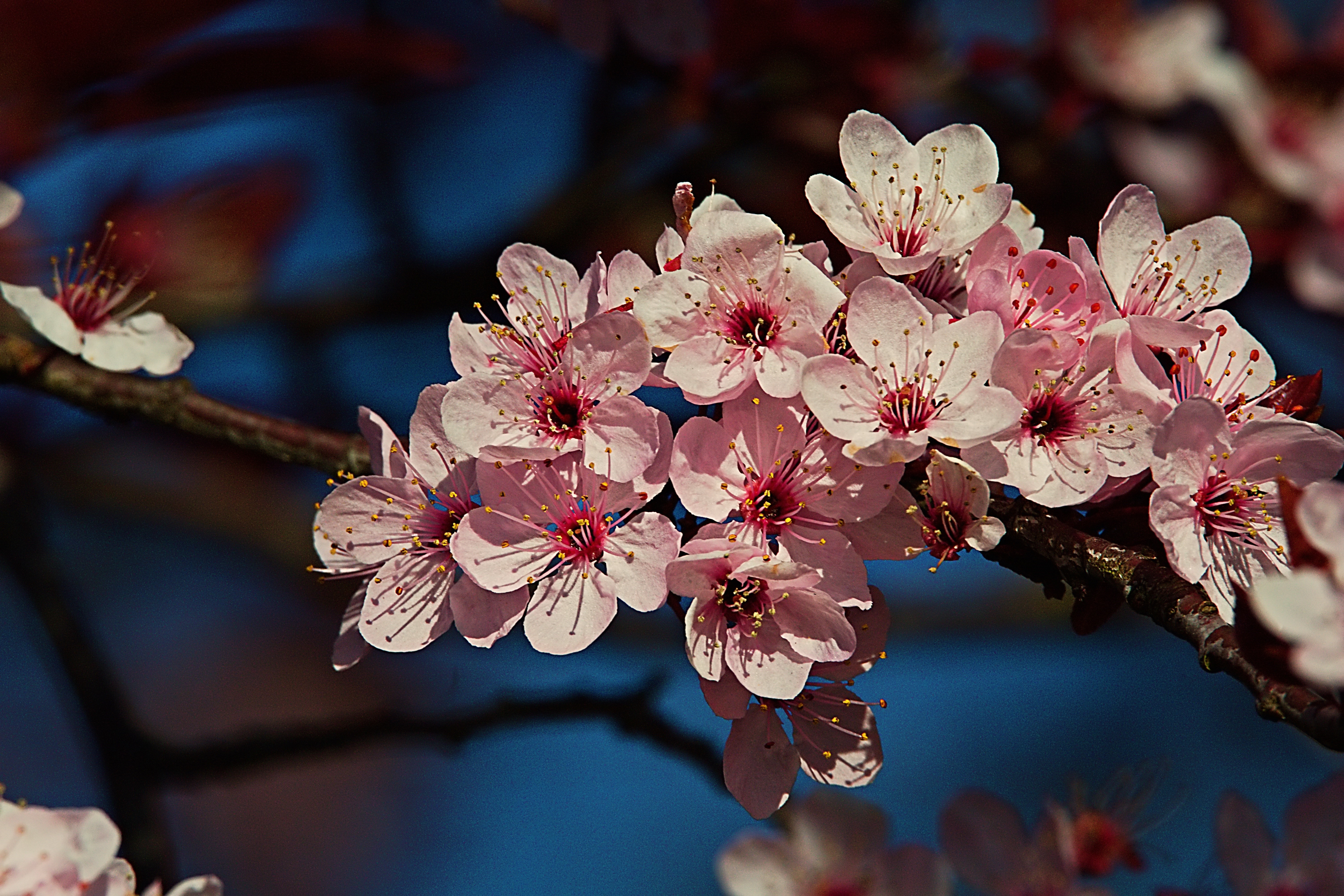 IMG_1390_InPixio (2).jpg