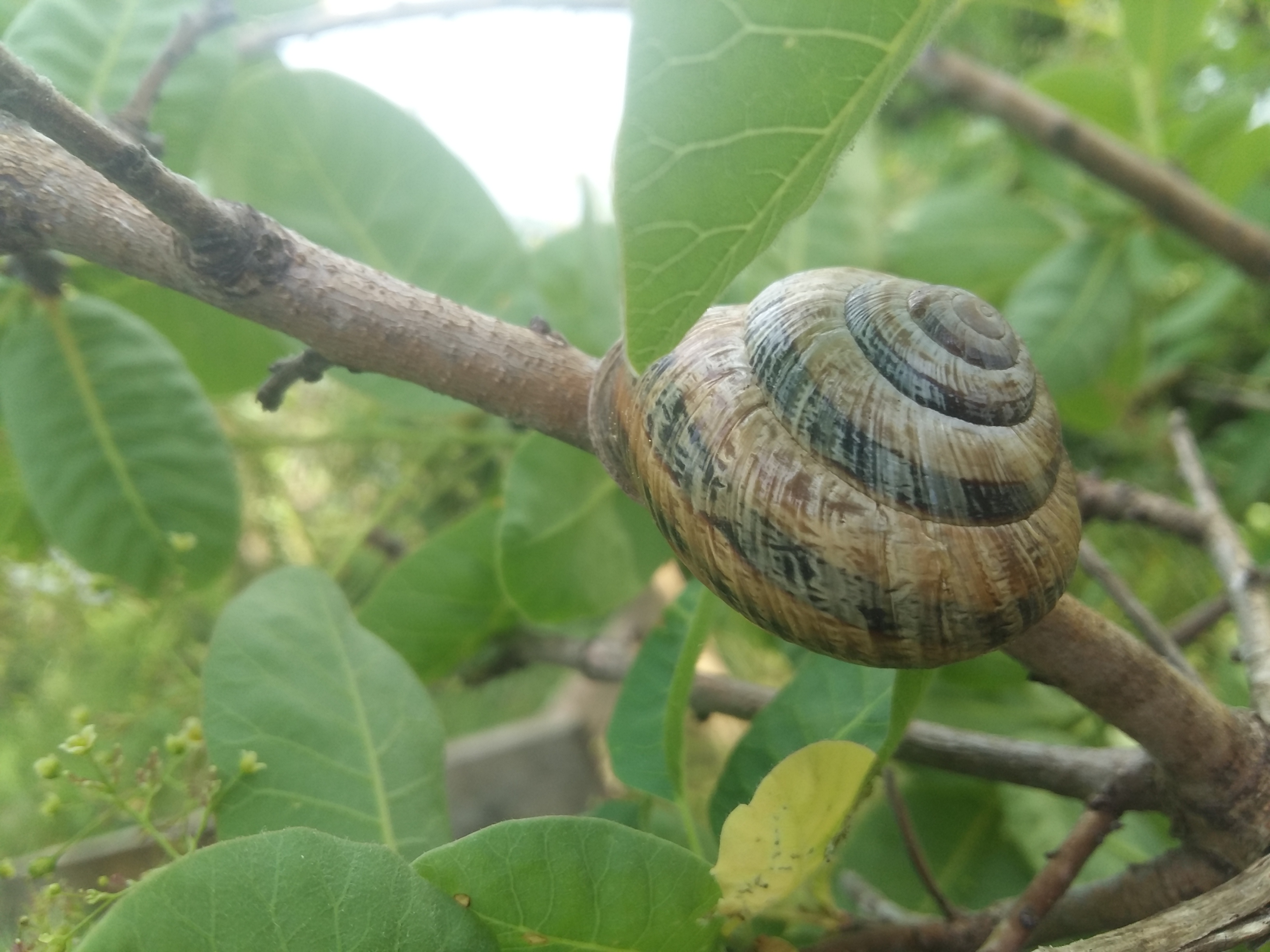 20180504_163710.jpg