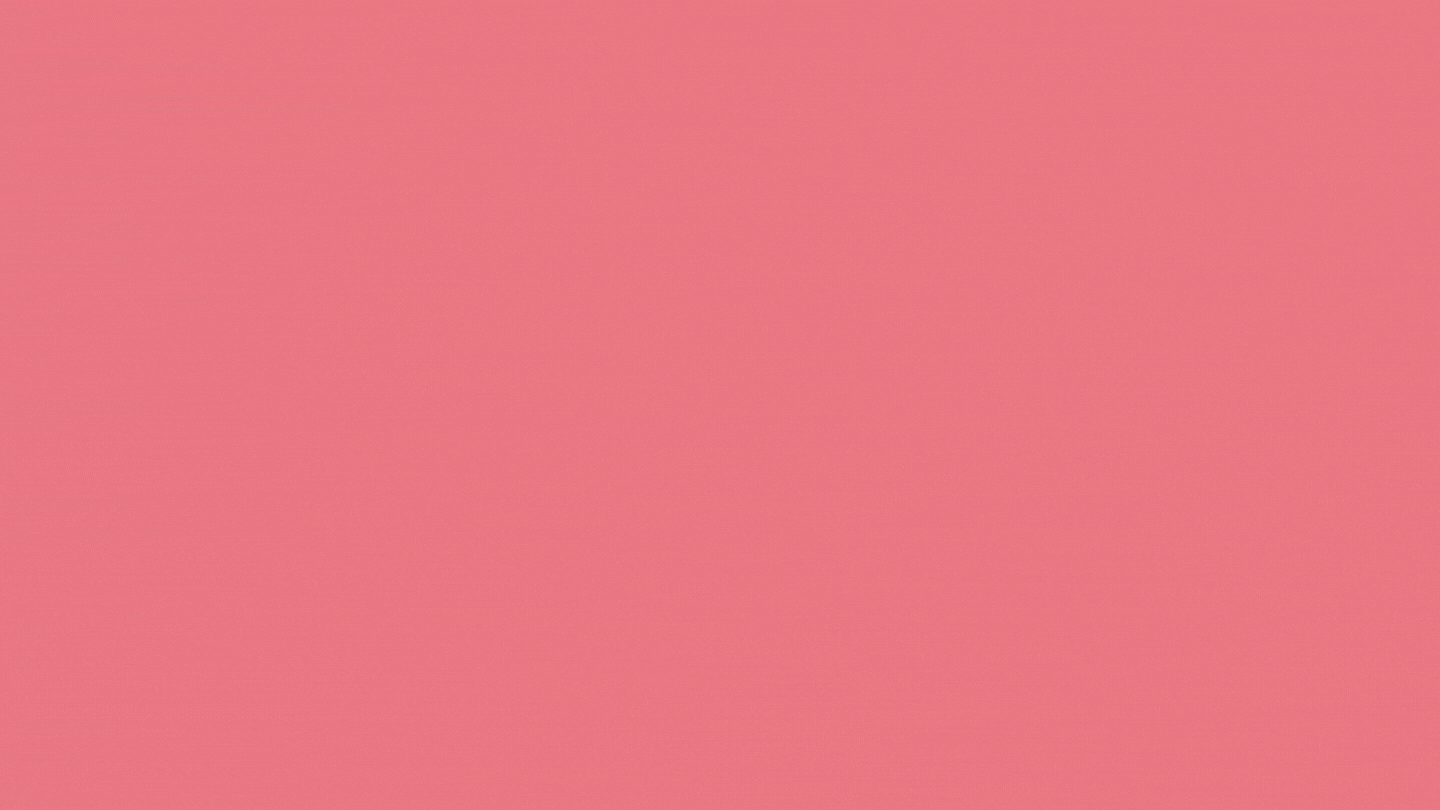 mini1.gif
