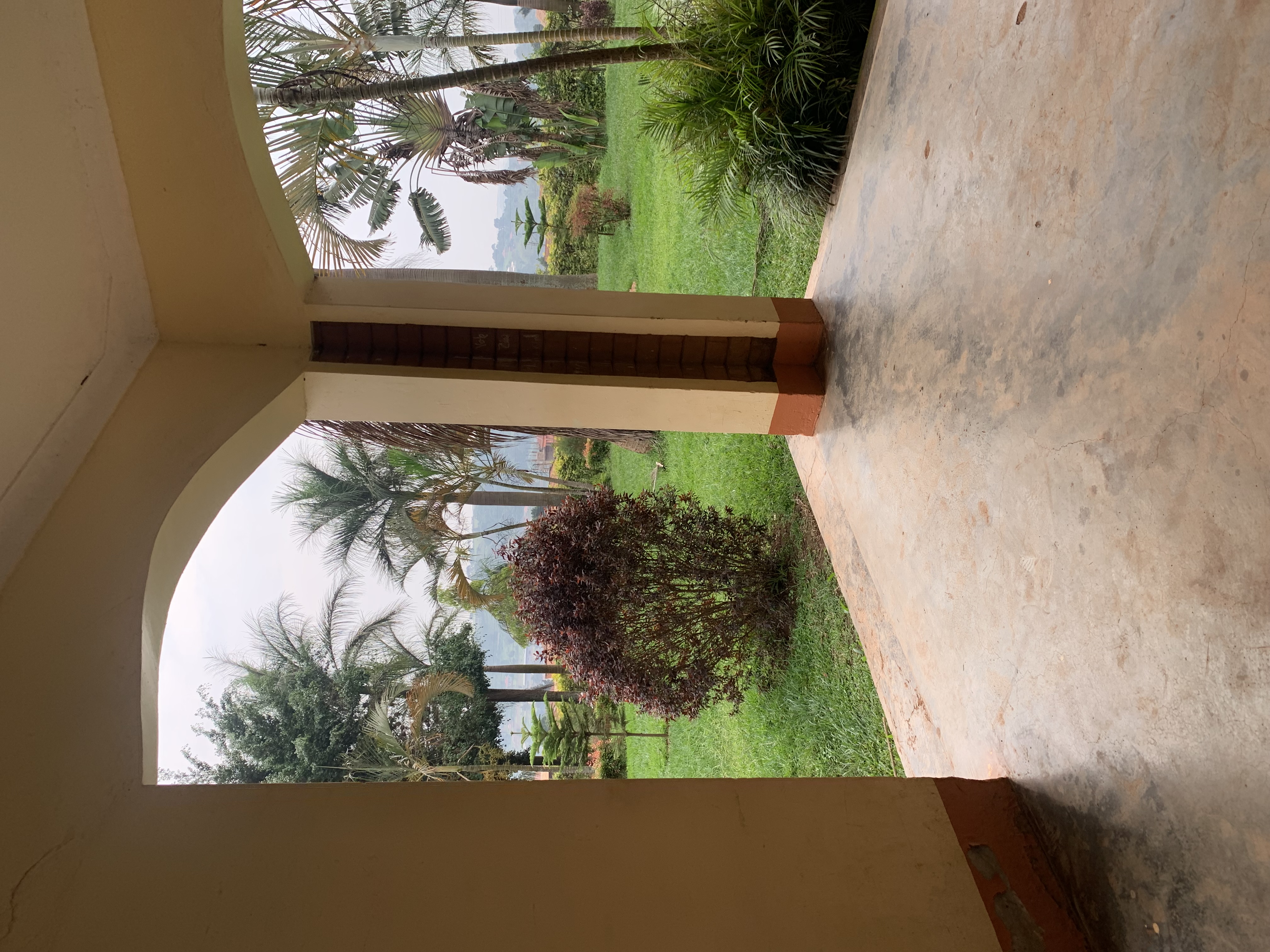 IMG_1379.jpeg