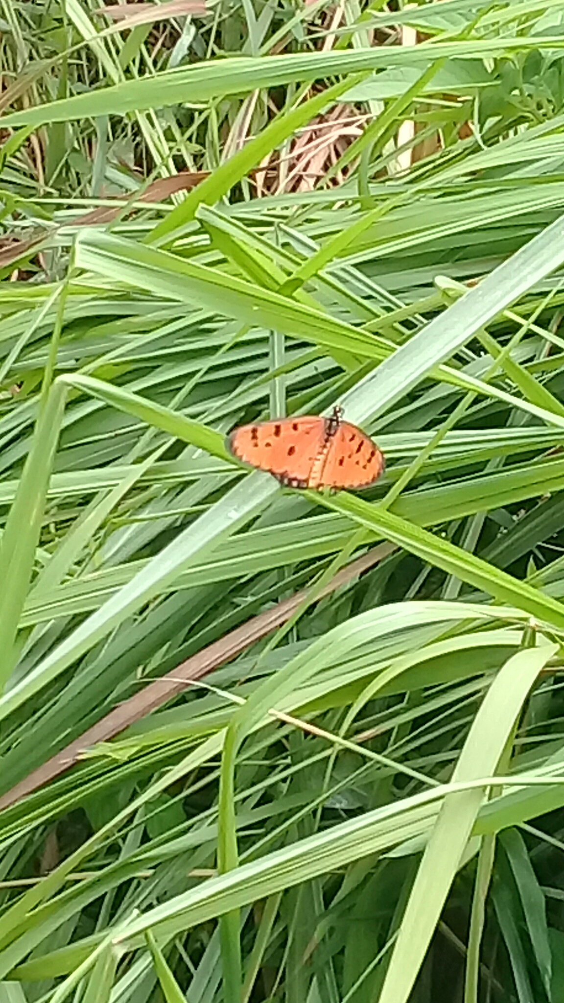 20180623_114706.jpg
