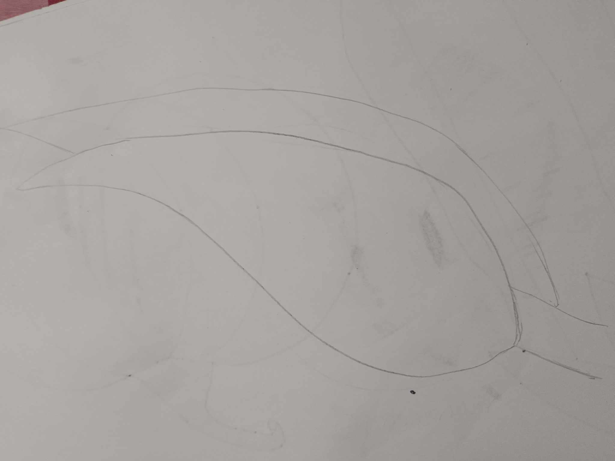 400159994_359689670065367_8239943736612353711_n.jpg