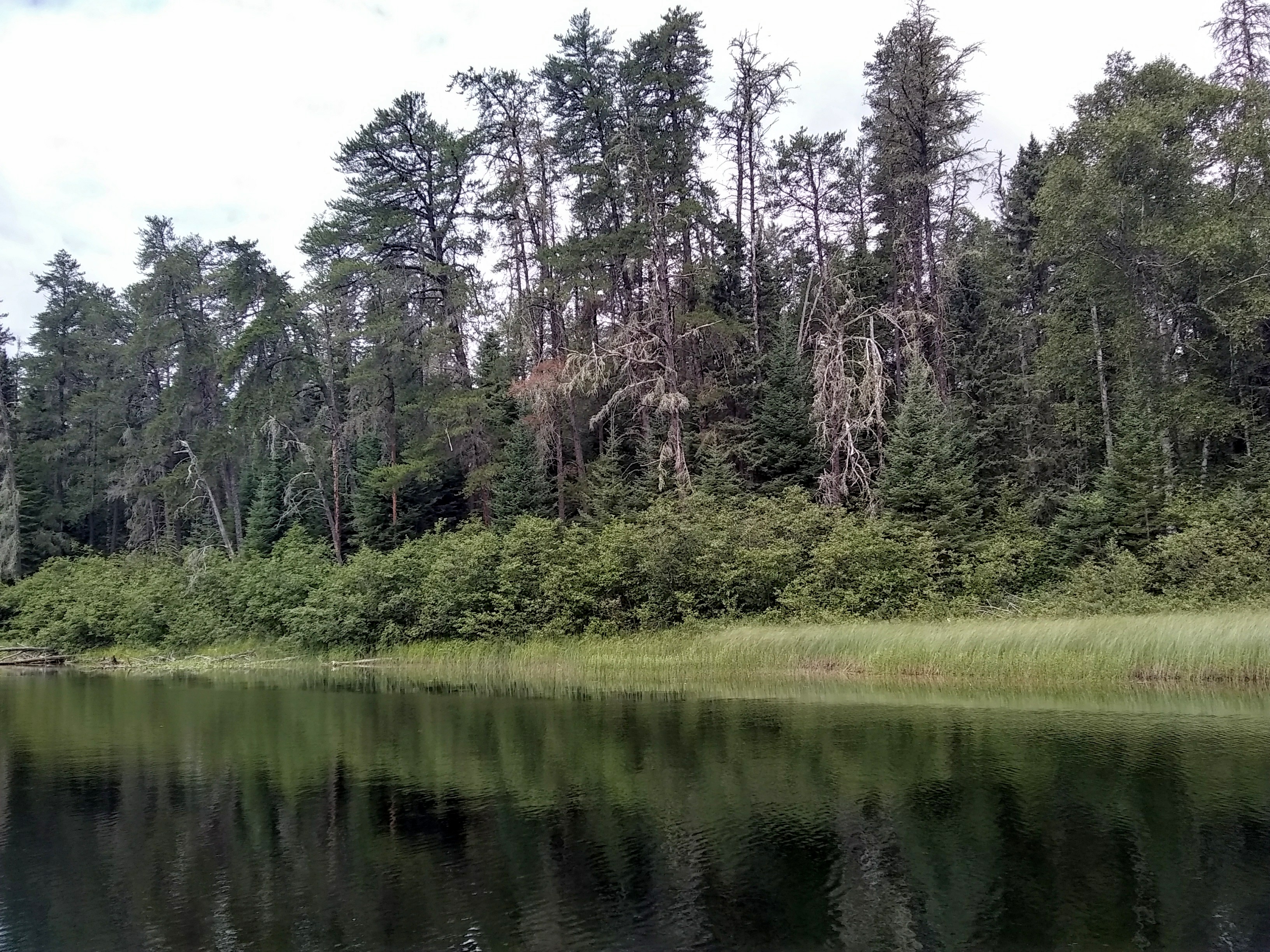 Quetico Canoe 5.jpg
