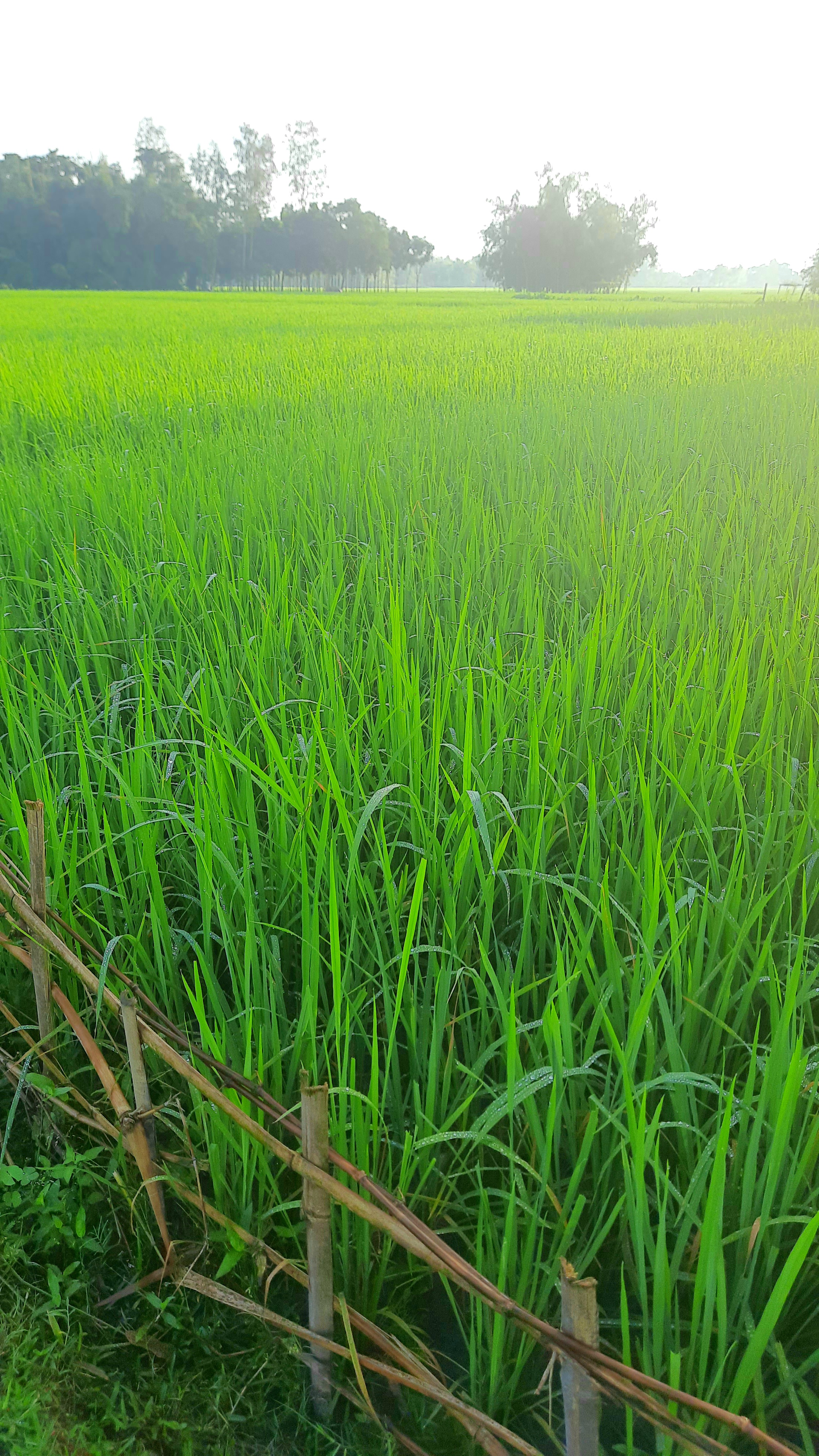 20210915_064438.jpg