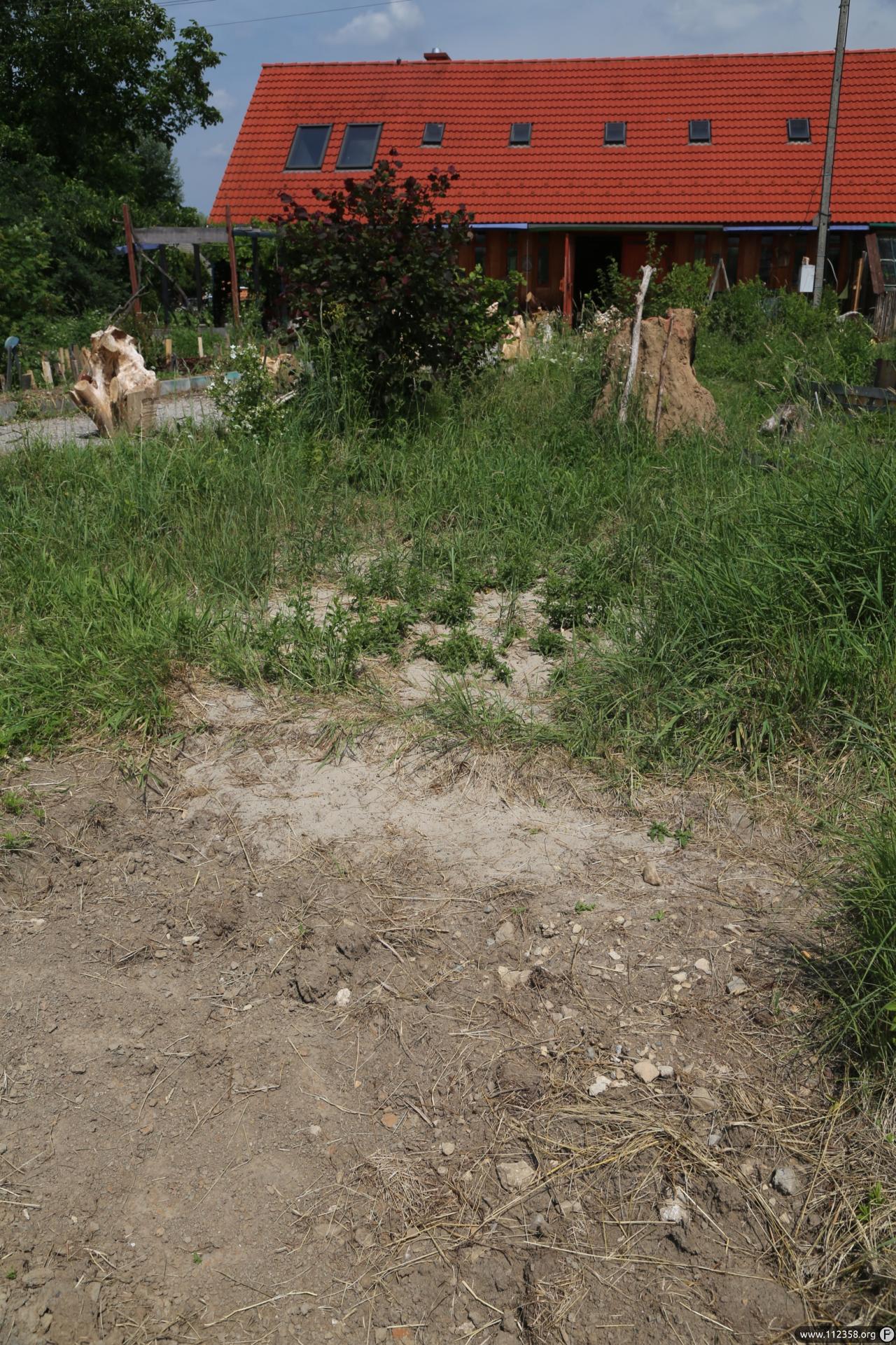 budowa_eartship_cordwood_domek_glina_ziemianka_9.jpg
