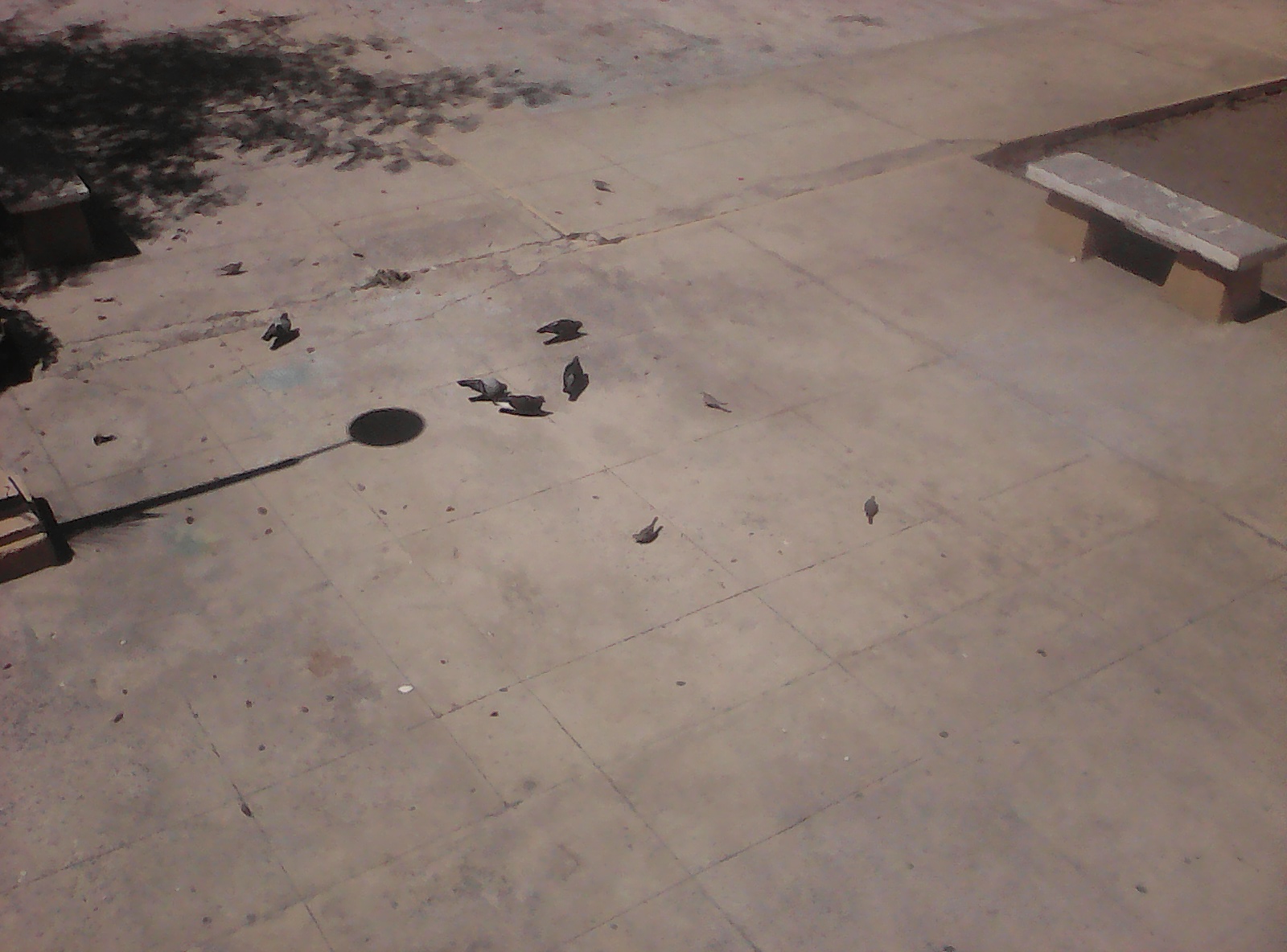 IMG19800107033428.jpg