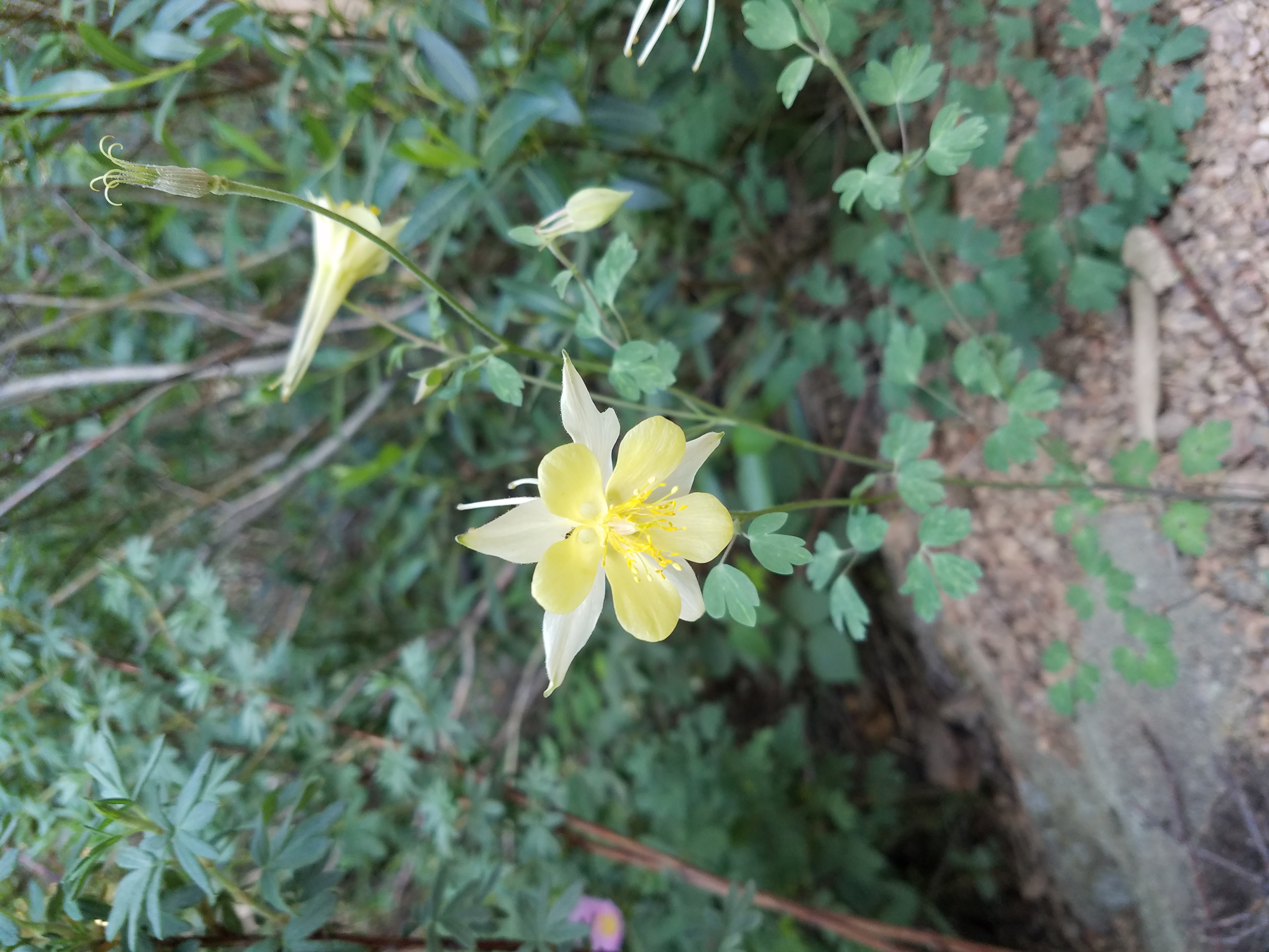 20180611_081007.jpg