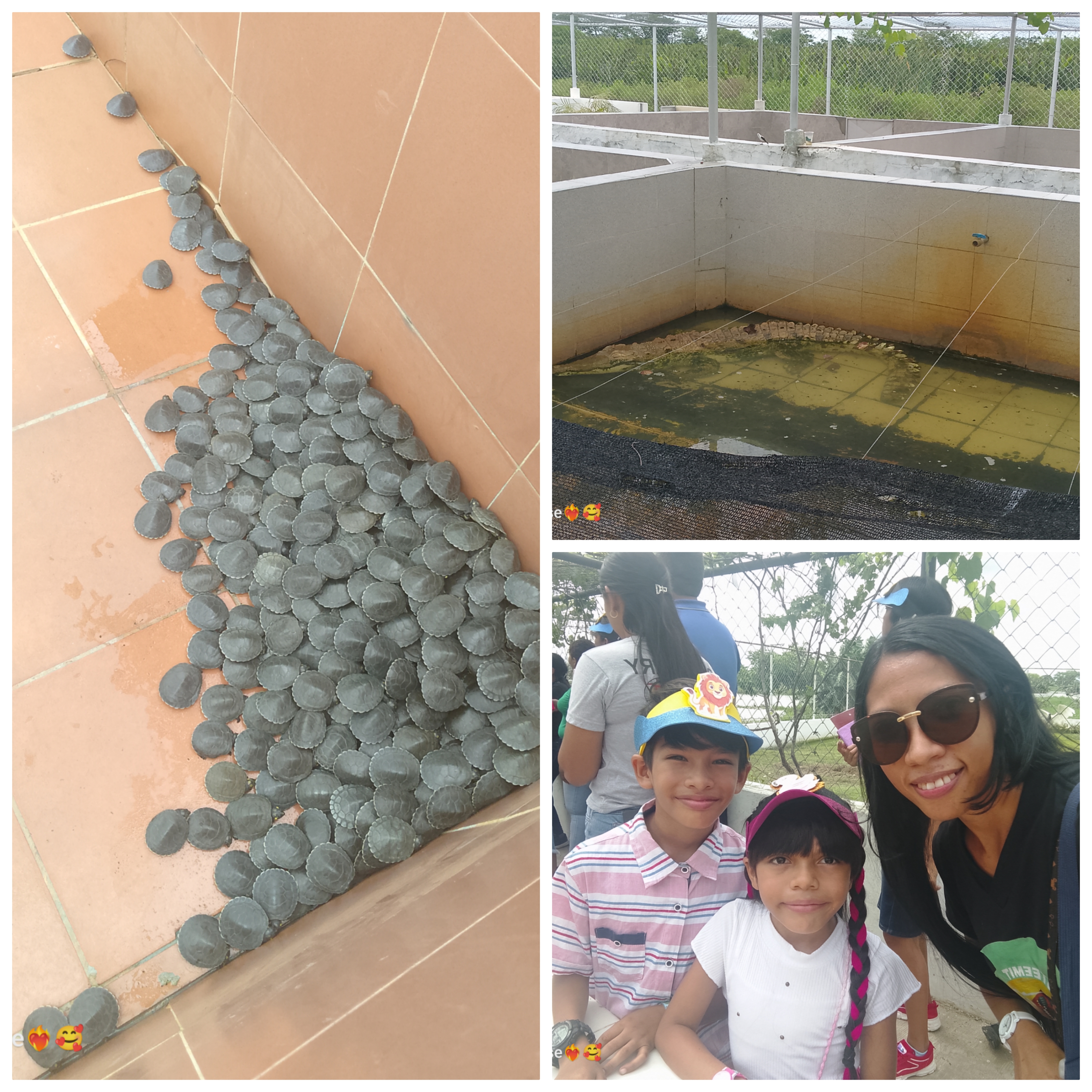 photocollage_2025517205831819.jpg