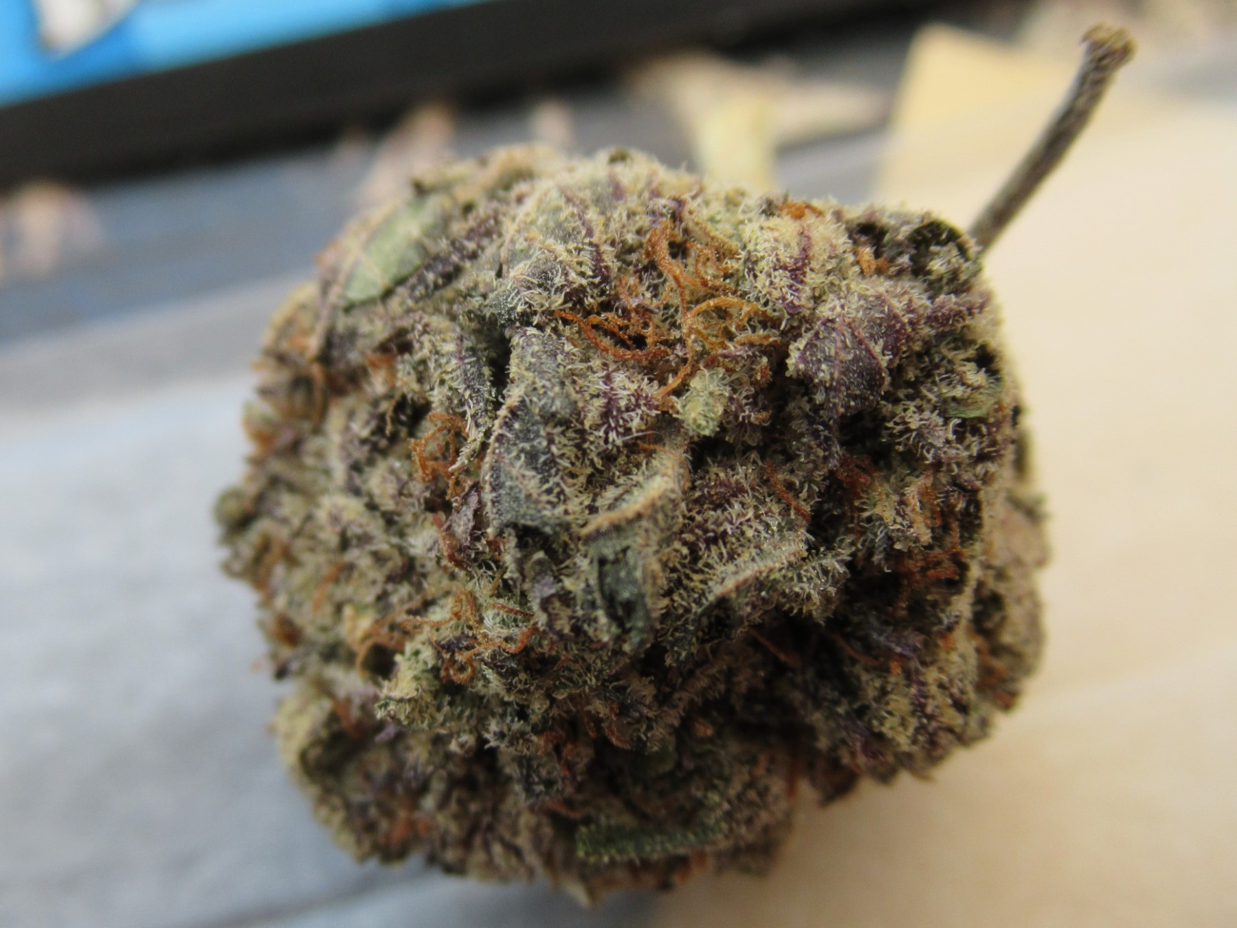 fullnugtopsypistil.jpg