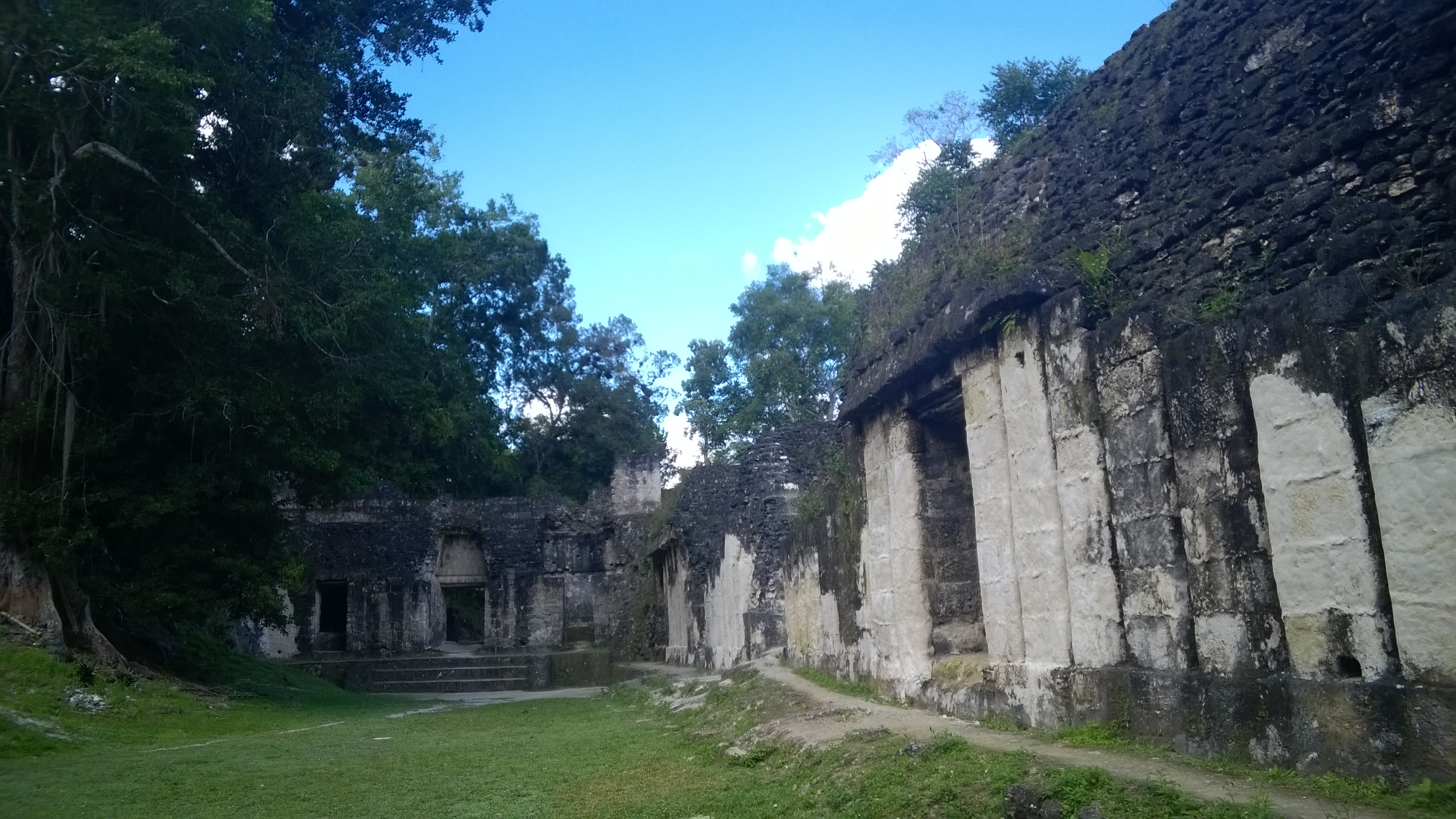 WP_20180302_090.jpg