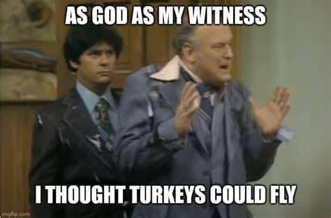 turkey b s could fly.jpg