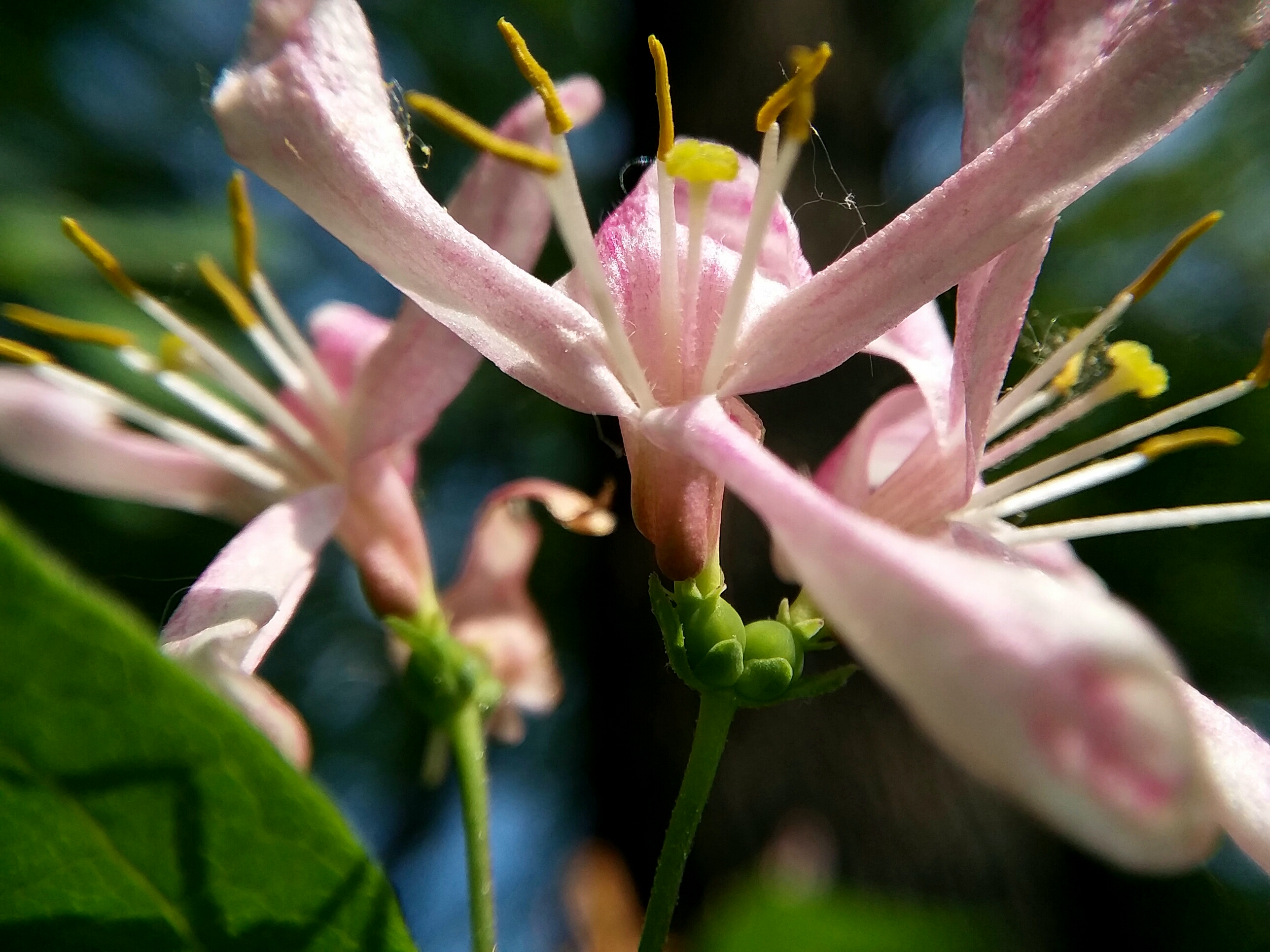 20190625_195416.jpg