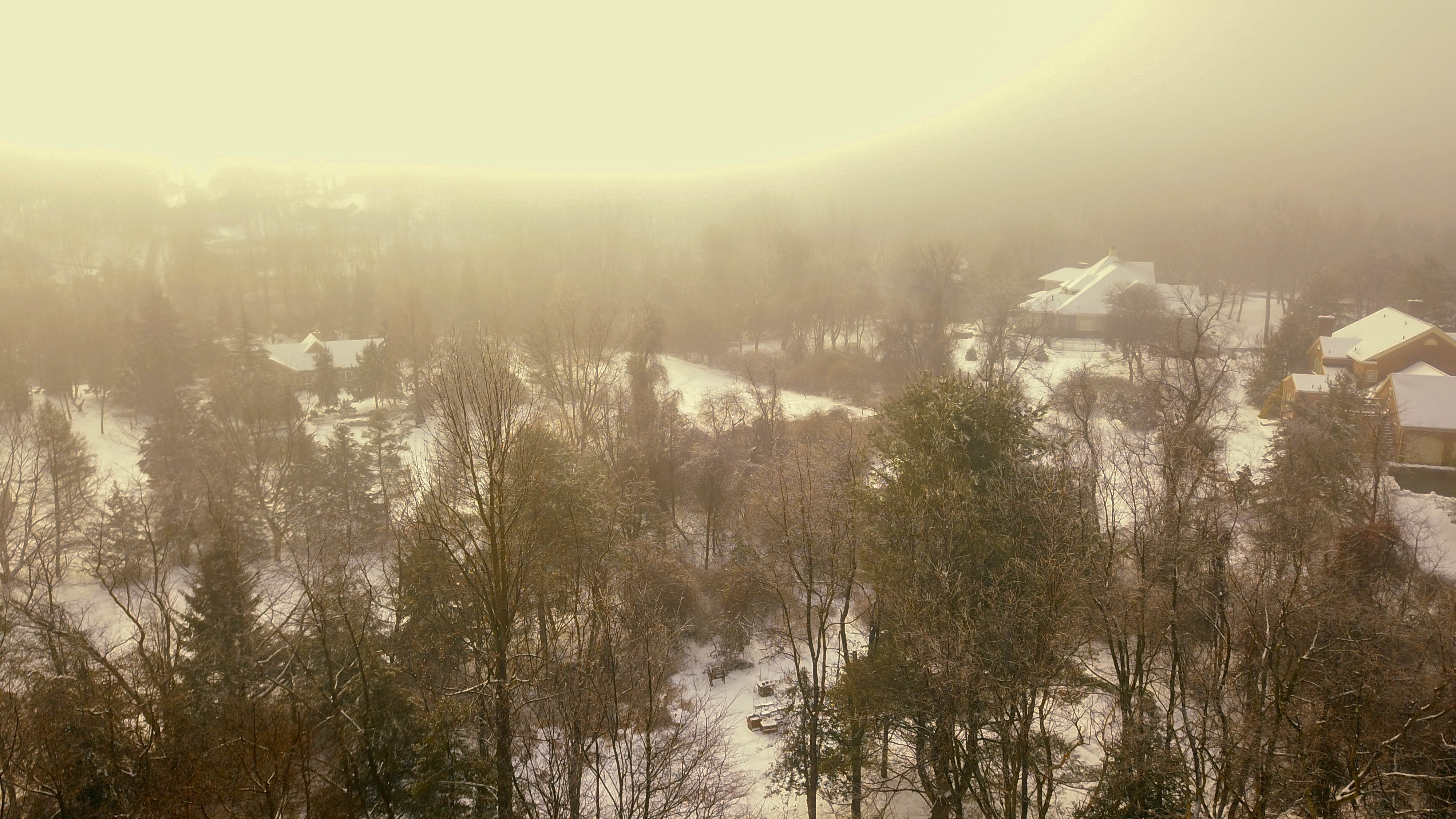 DJI_0486.jpg