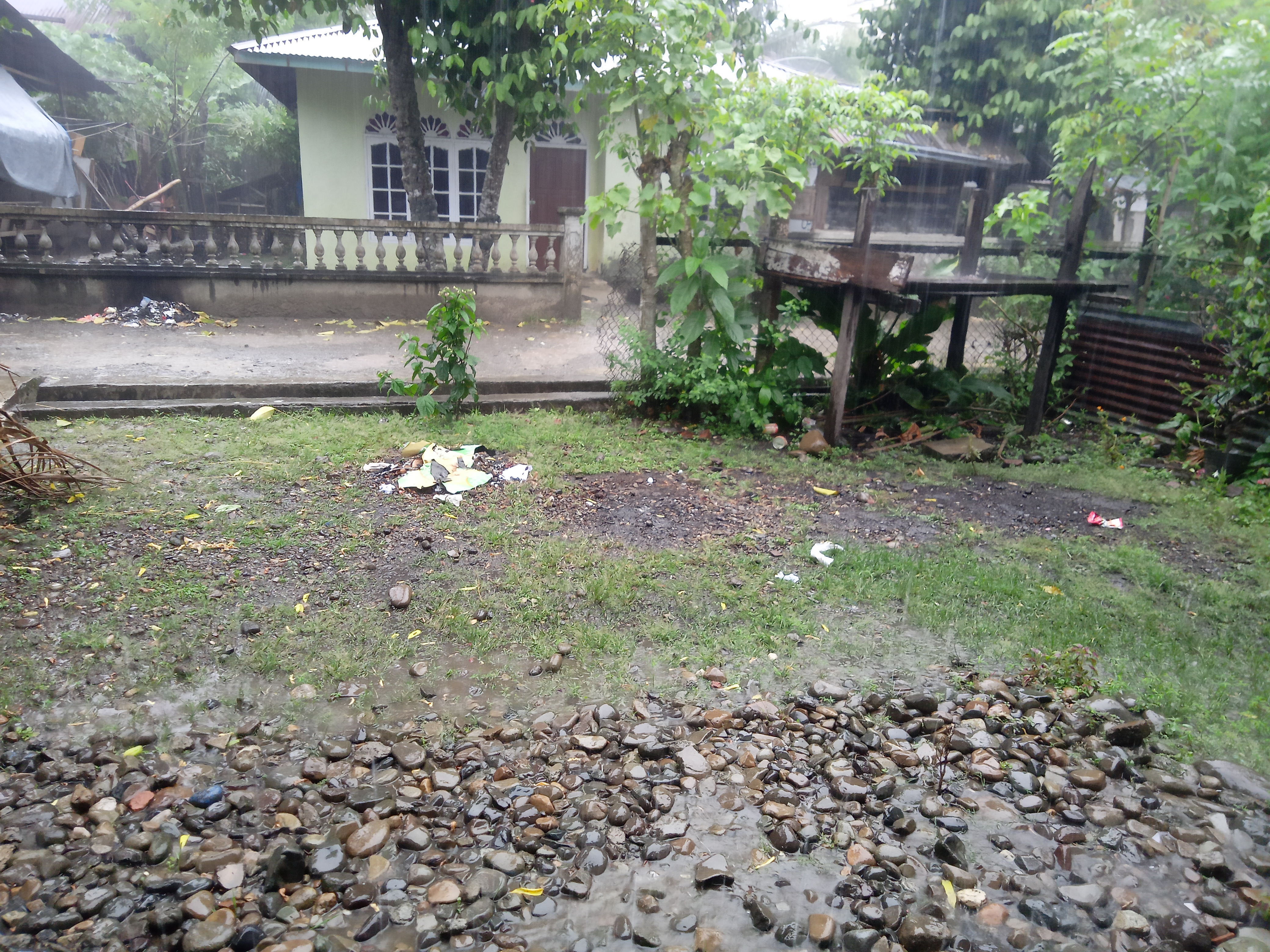 IMG20230502155339.jpg