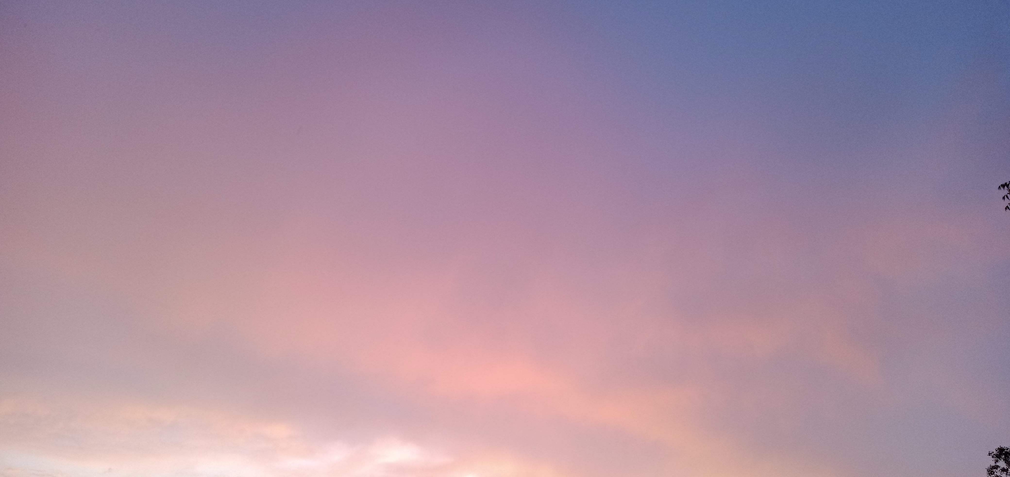 IMG20210525050353.jpg