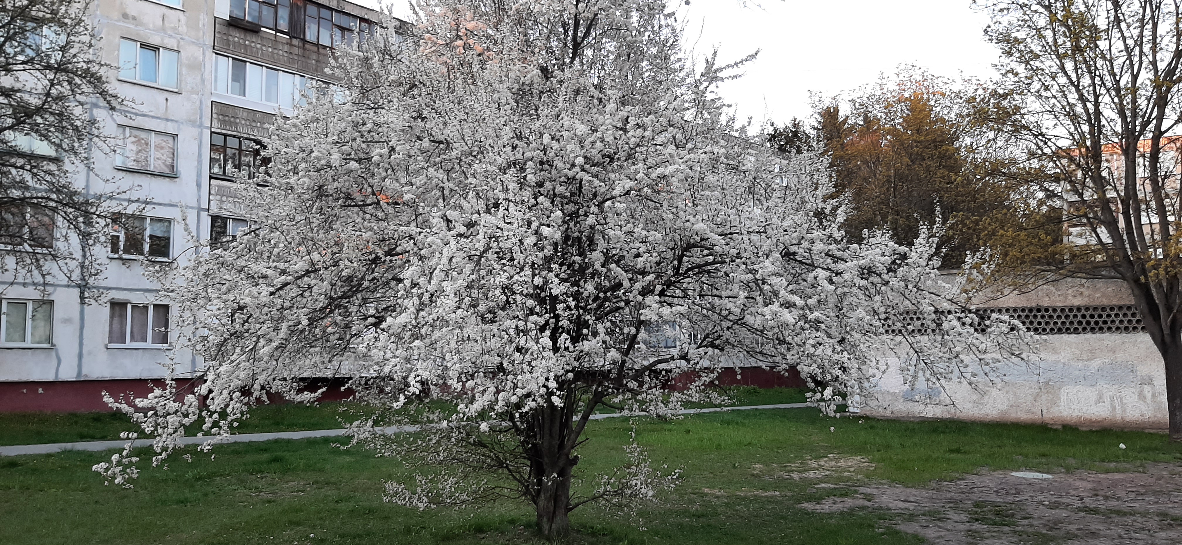 20220505_202121.jpg