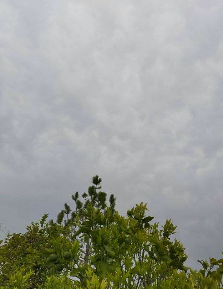 IMG_20260608_215837.jpg