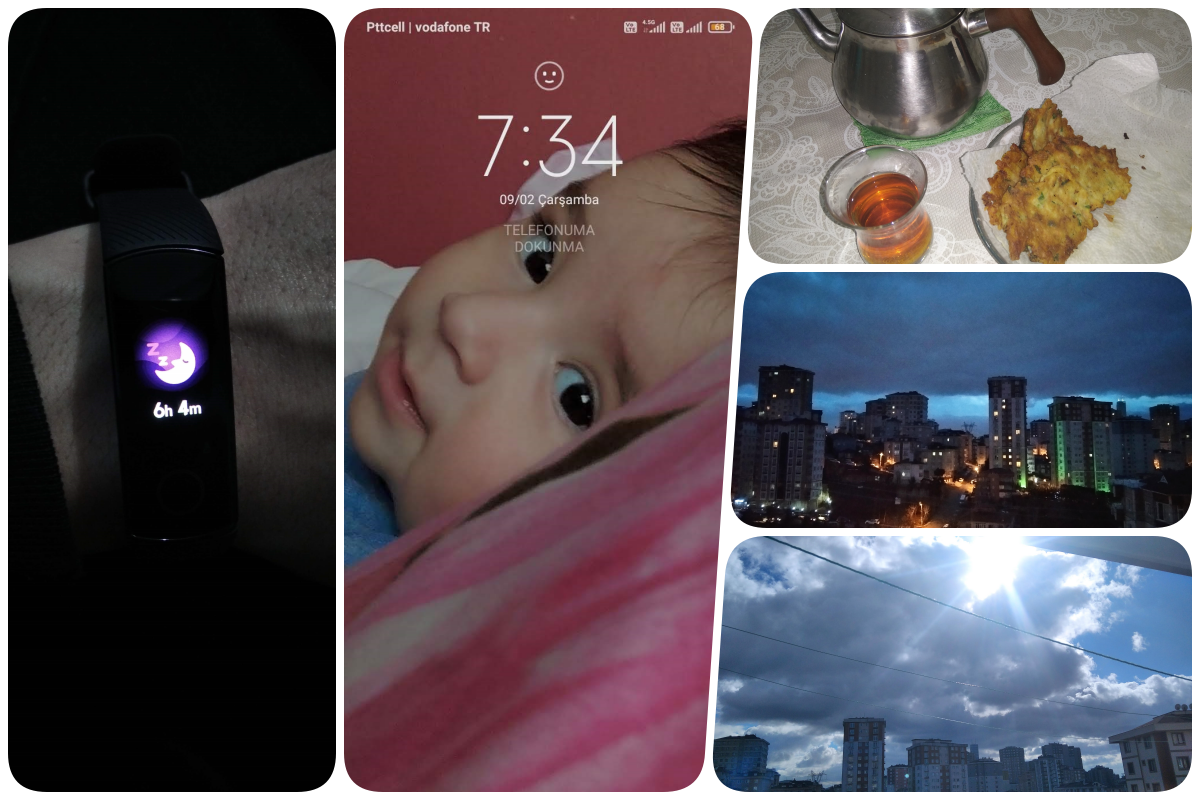collage1.png