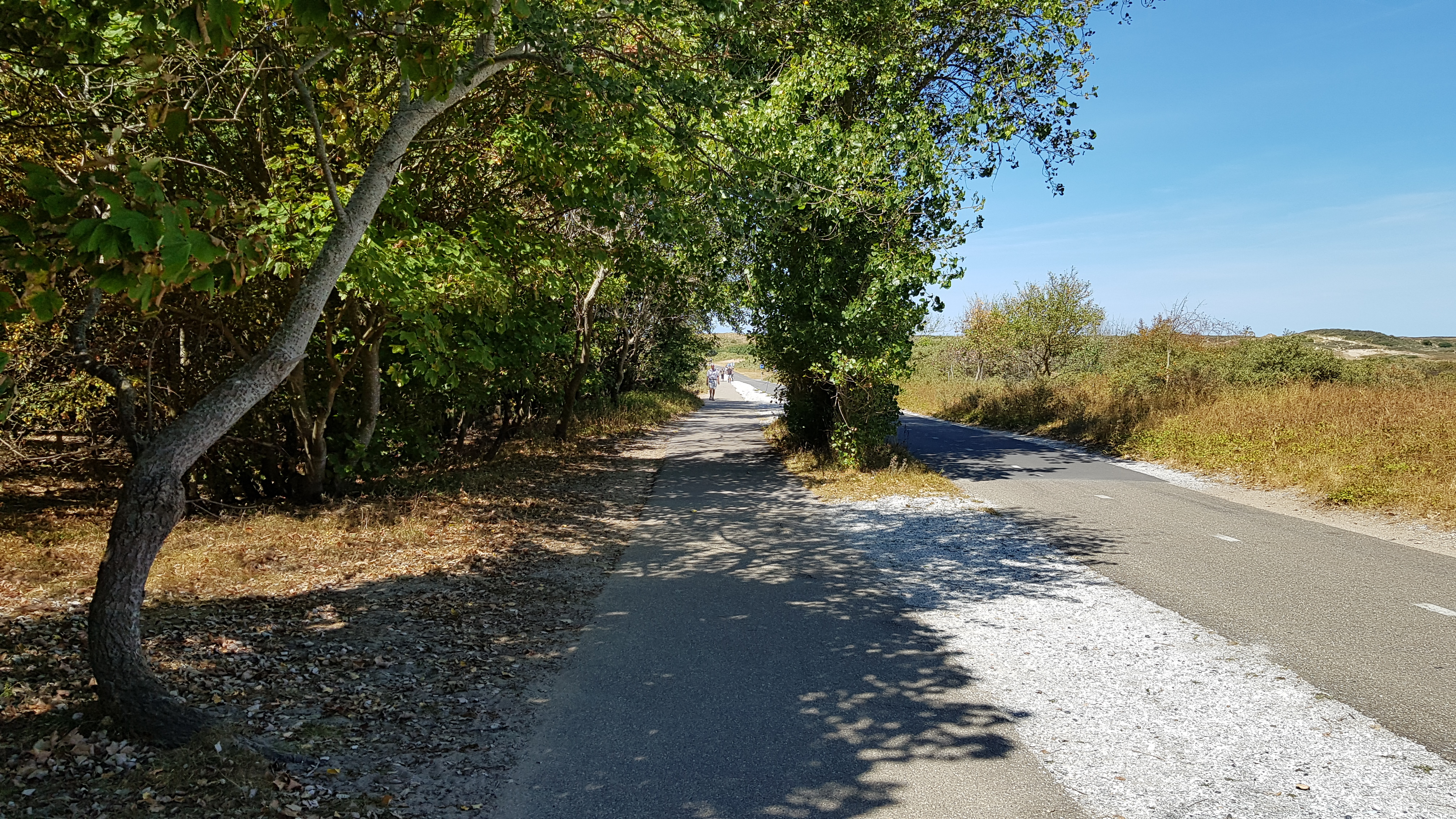 20180805_131814.jpg