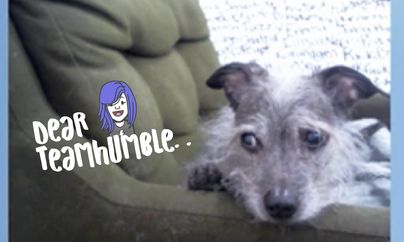 @dayleeo Steemit-Covers (5).png