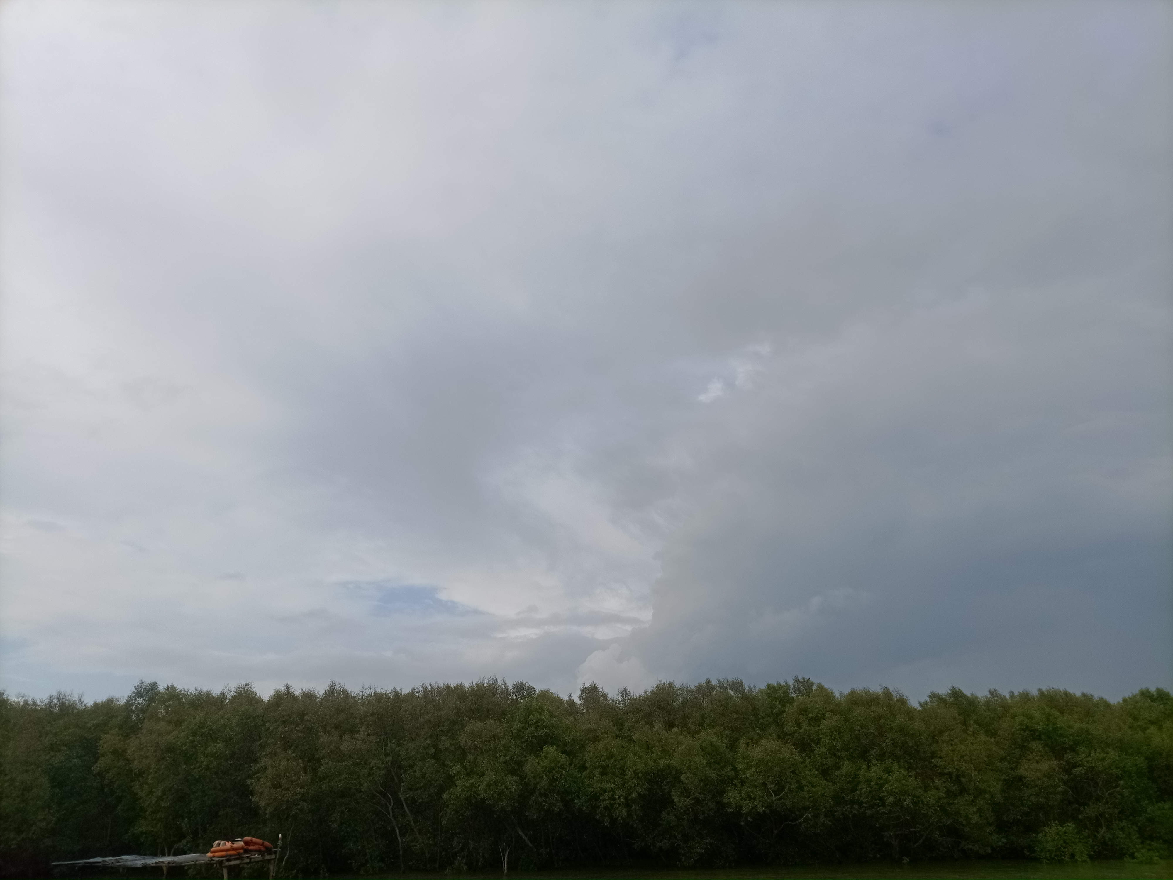IMG_20230625_154606698.jpg