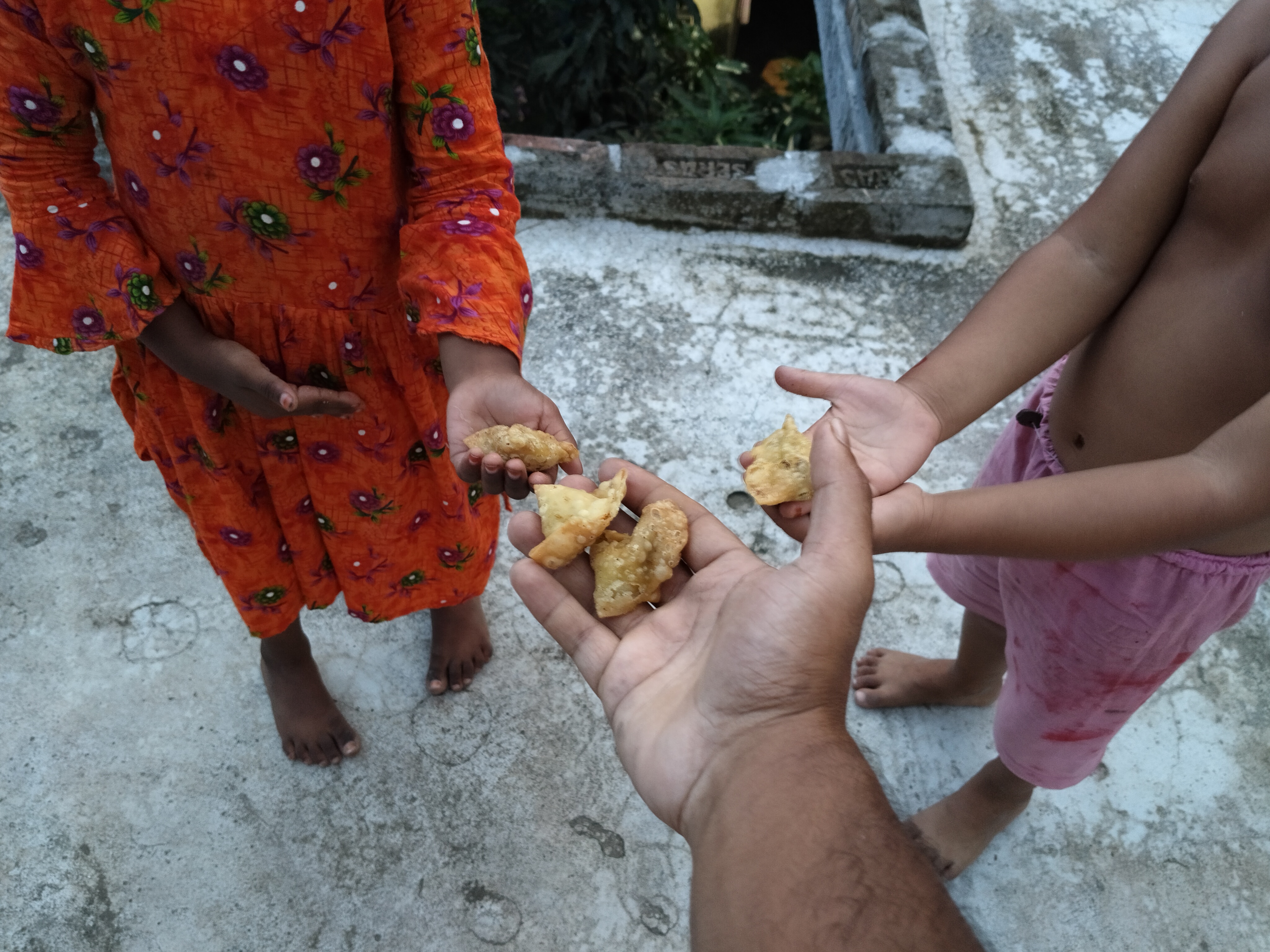 1000049827.jpg