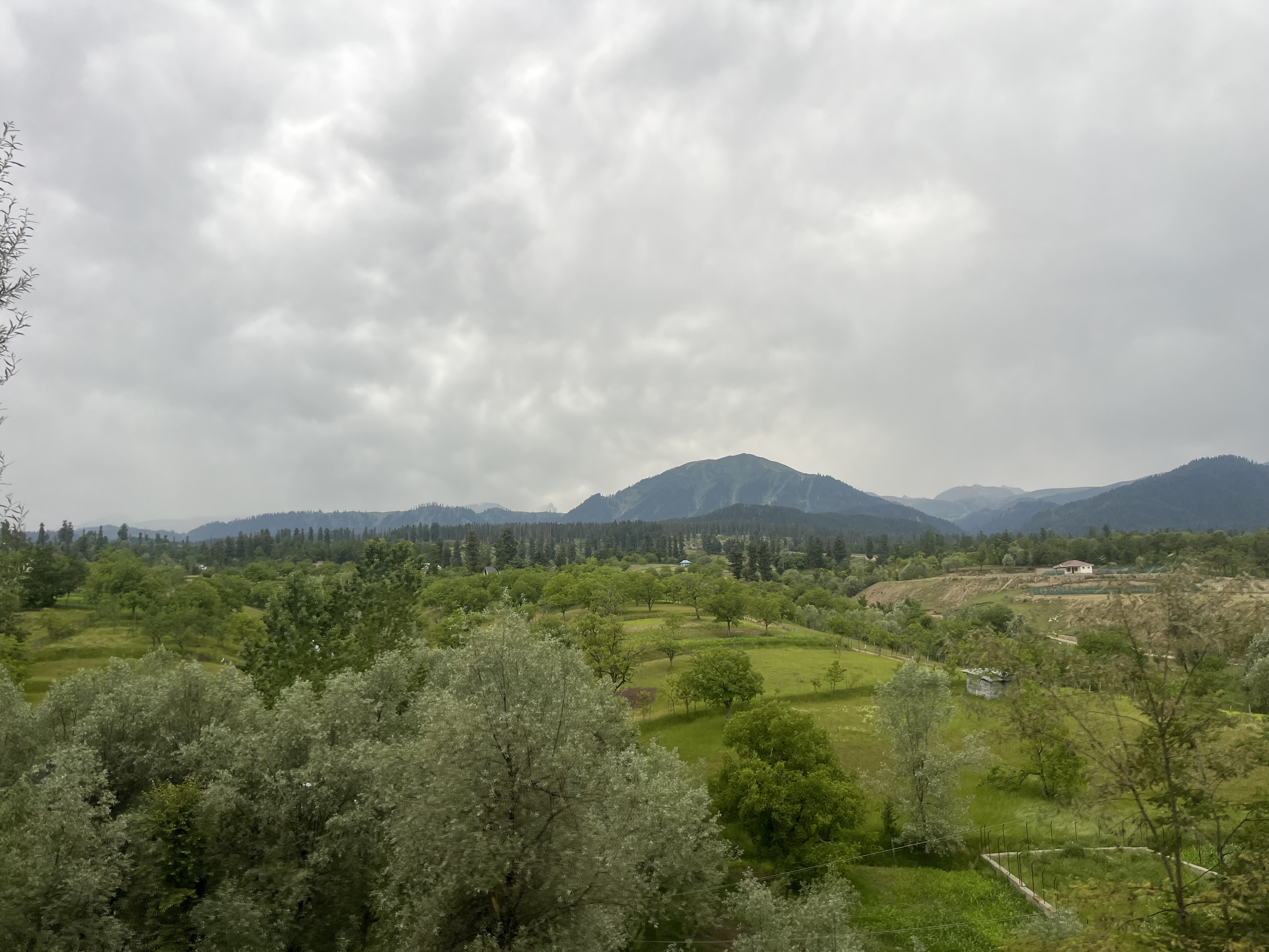 IMG_0709.jpeg