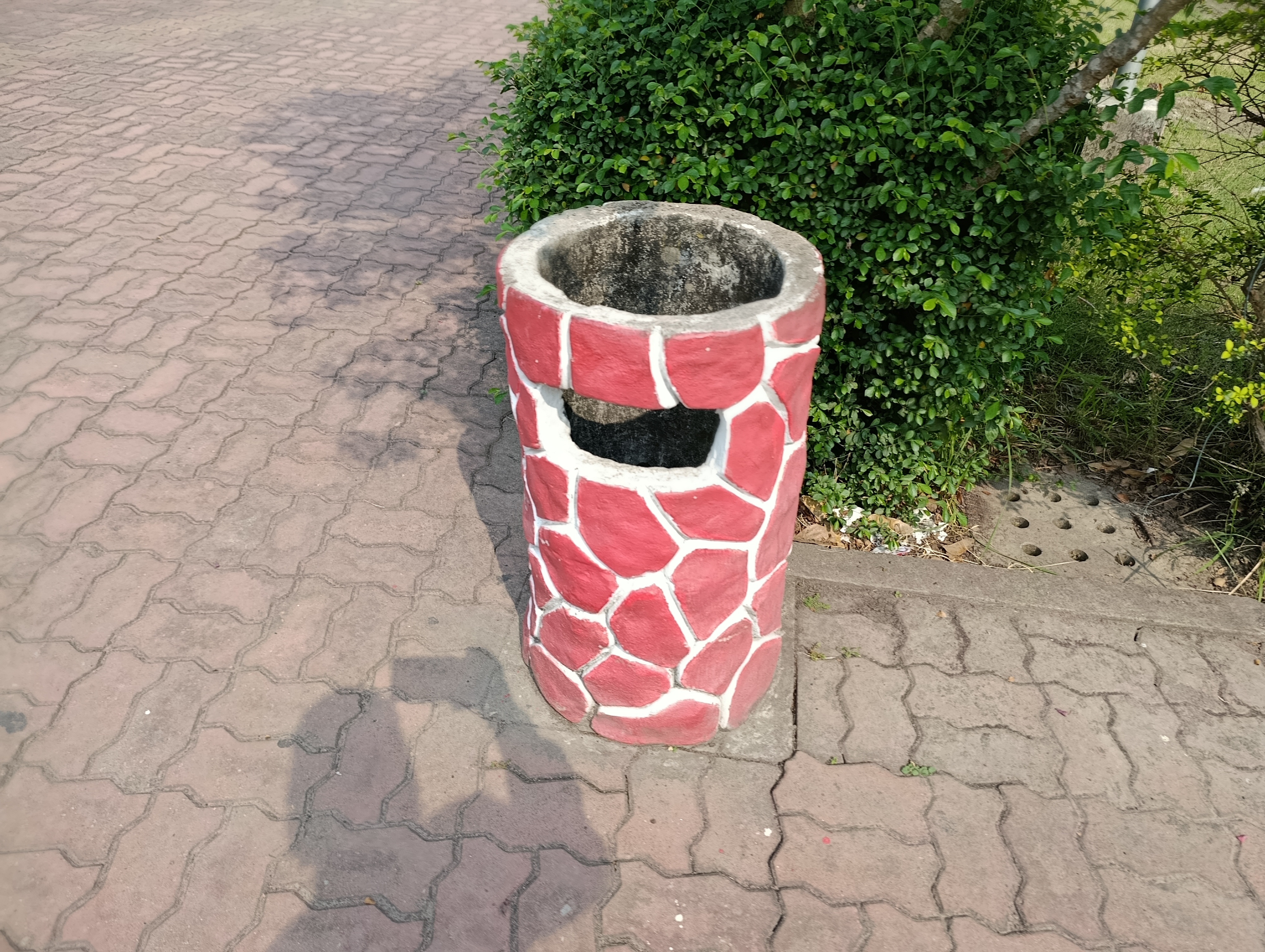 1000045951.jpg