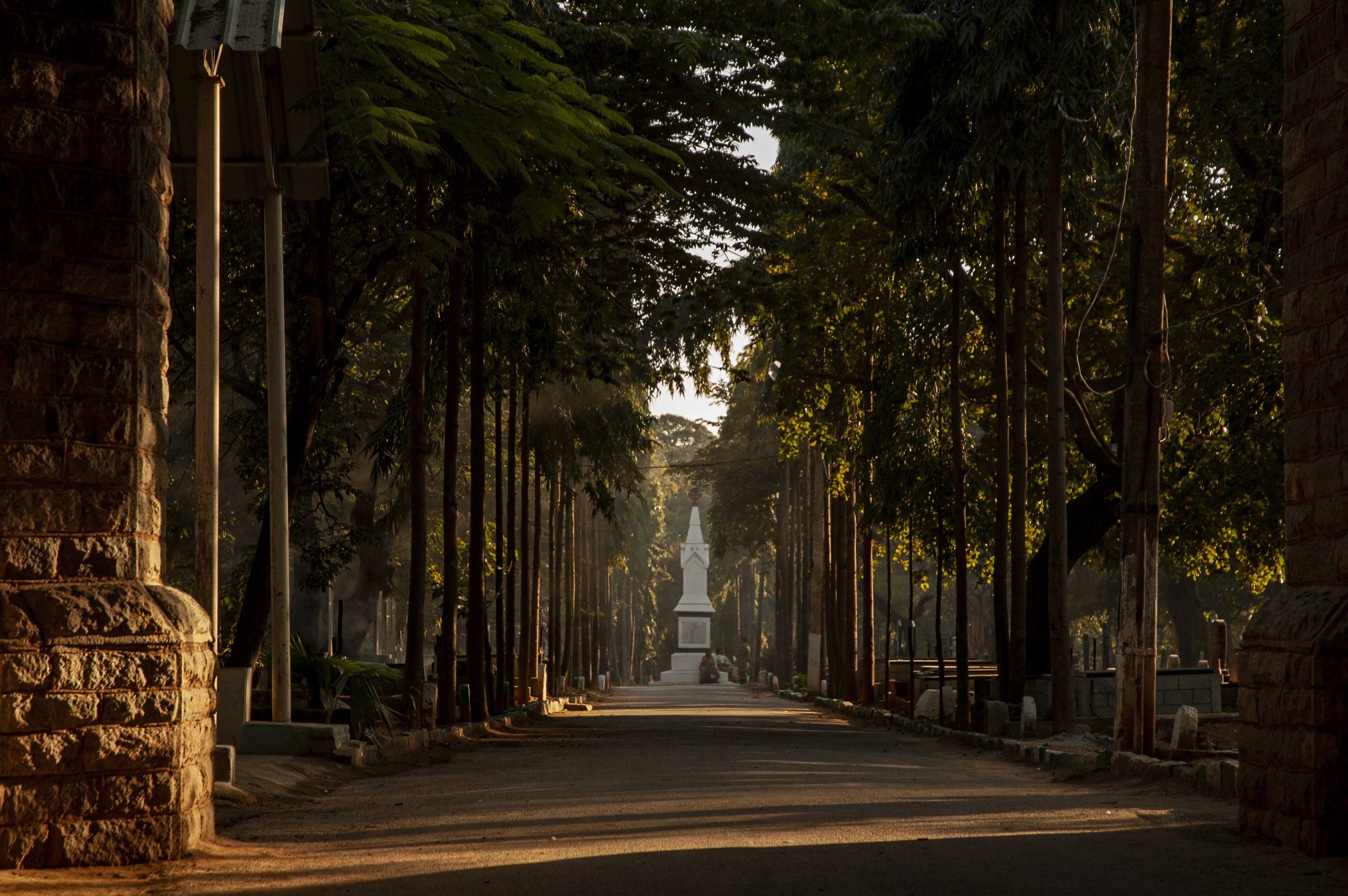 cubbonpark-0177.jpg